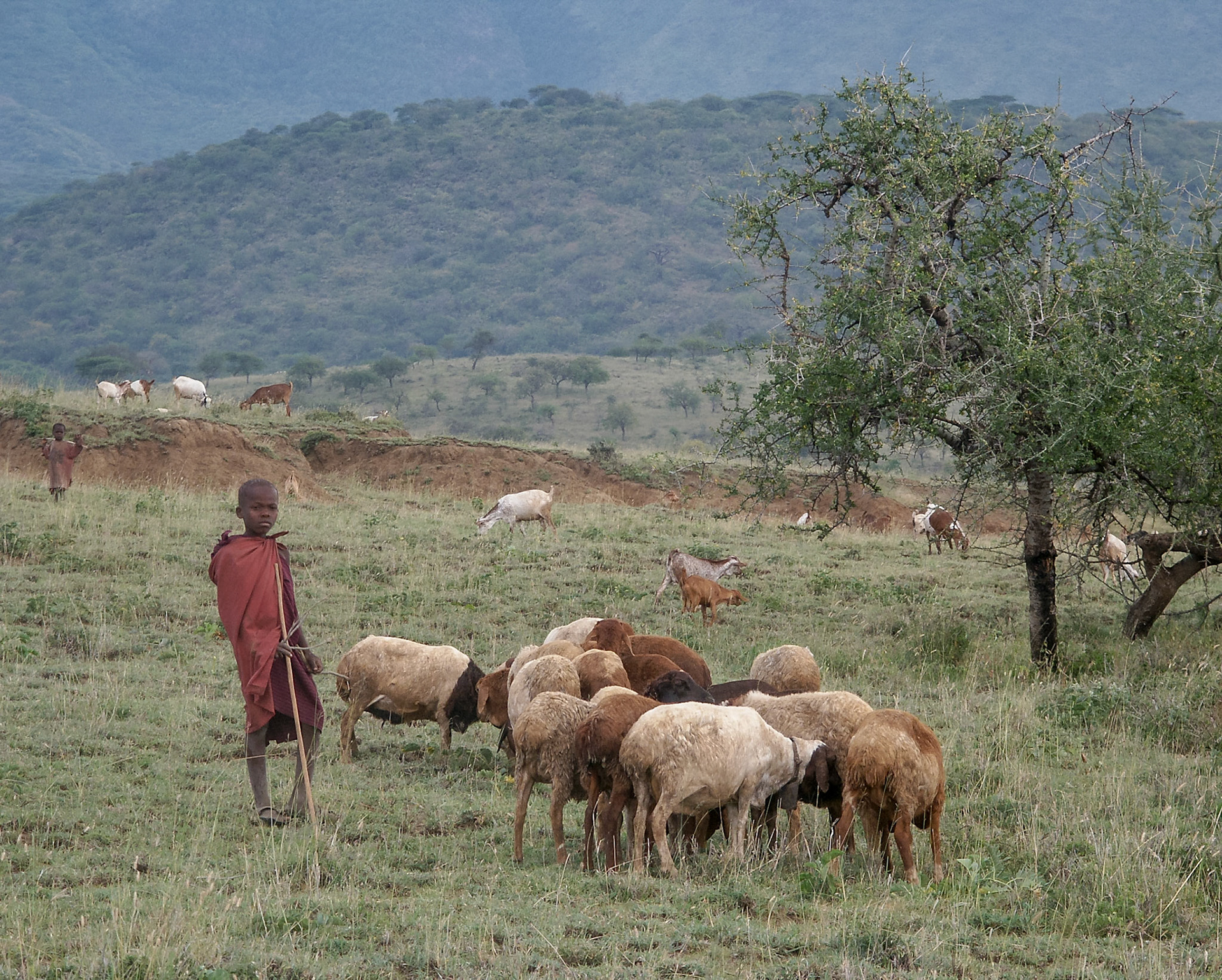 Rift Valley, Tanzania