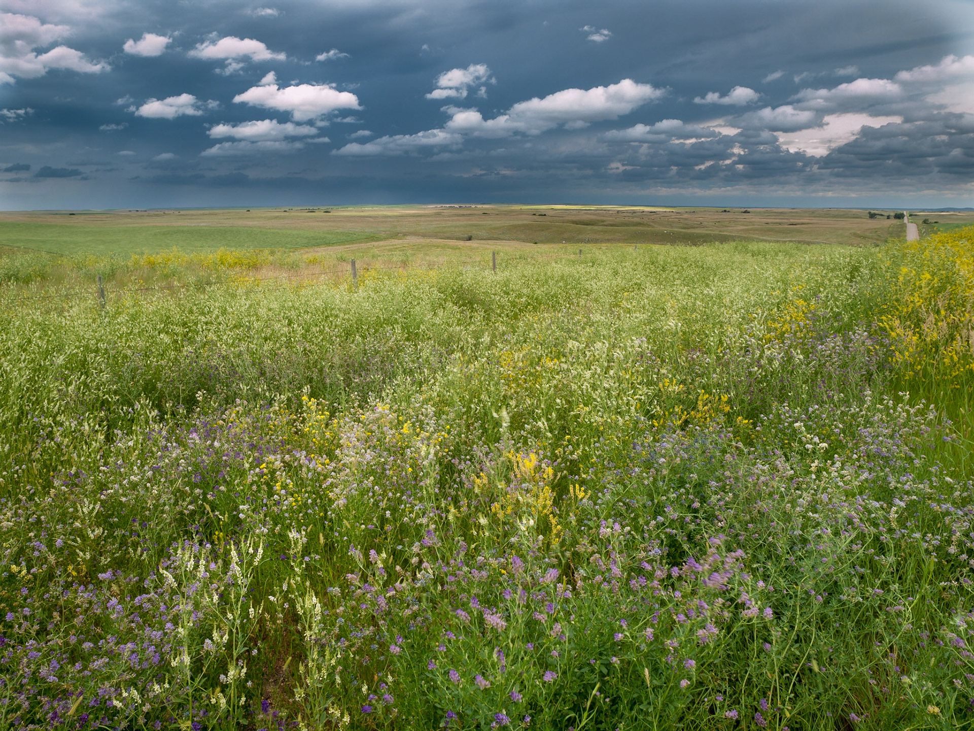 Prairie Afternoon, Antelope, Saskatchewan