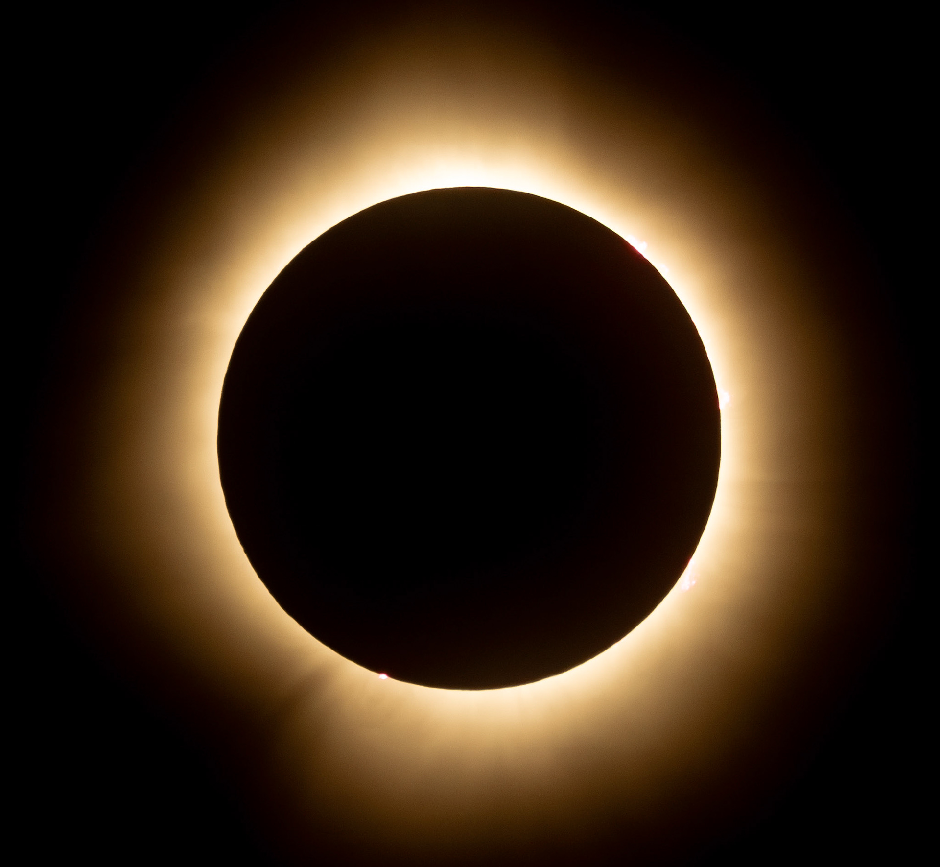 Totality, 2024 Eclipse