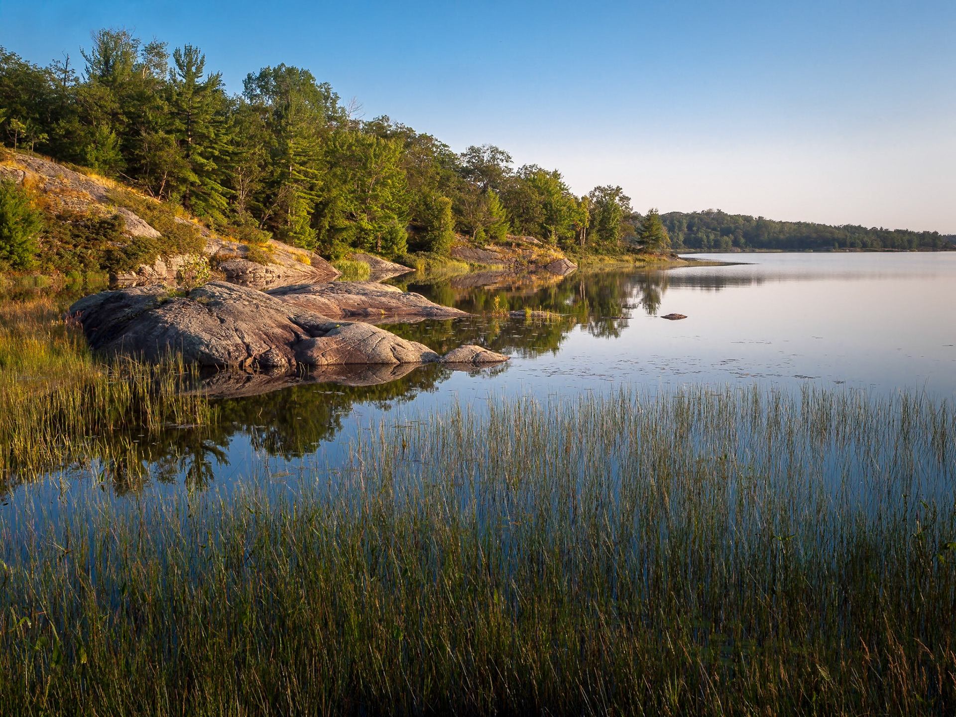 The hard rock and coniferous forest of the Canadian Shield meet the shore of and are reflected in Georgian Bay, Ontario