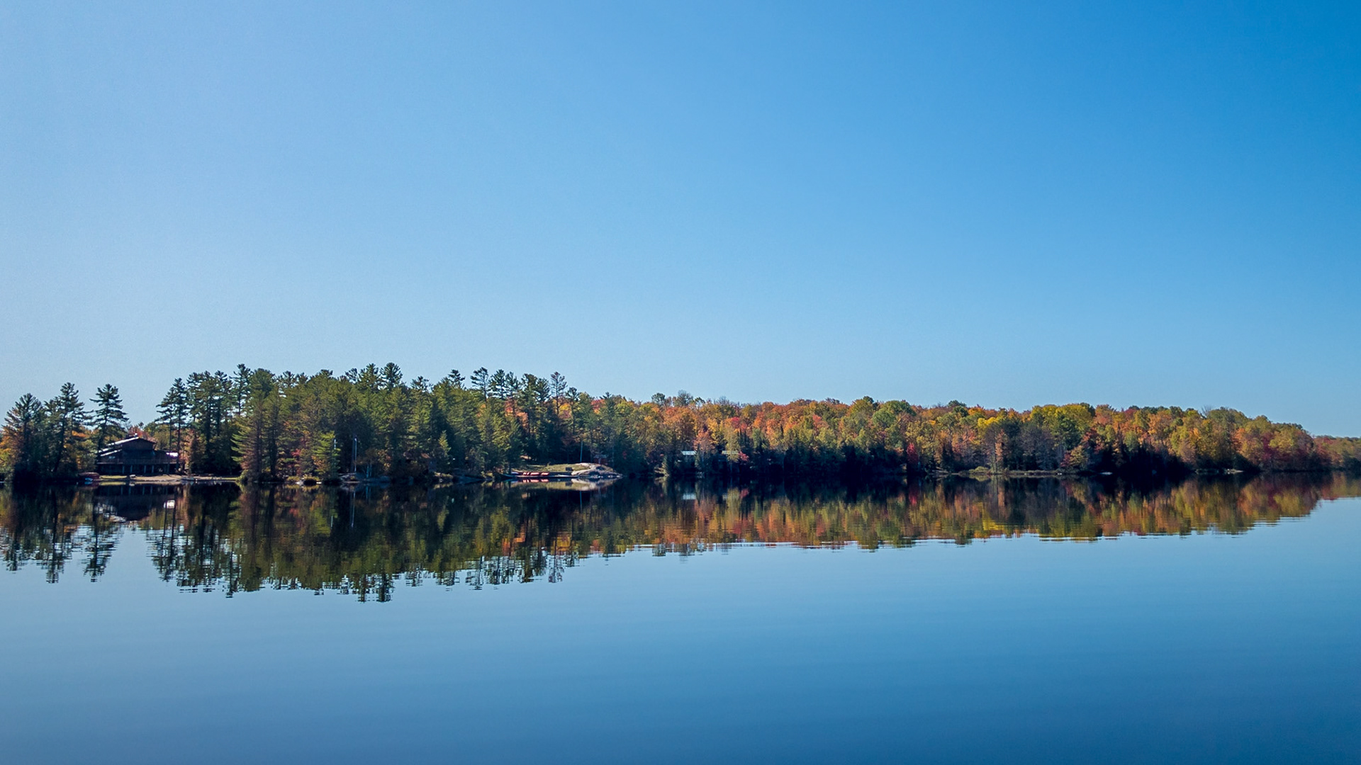 Under a clear blue sky, a shoreline with the autumn colours of a mixed forest is reflected in a glass-smooth lake.