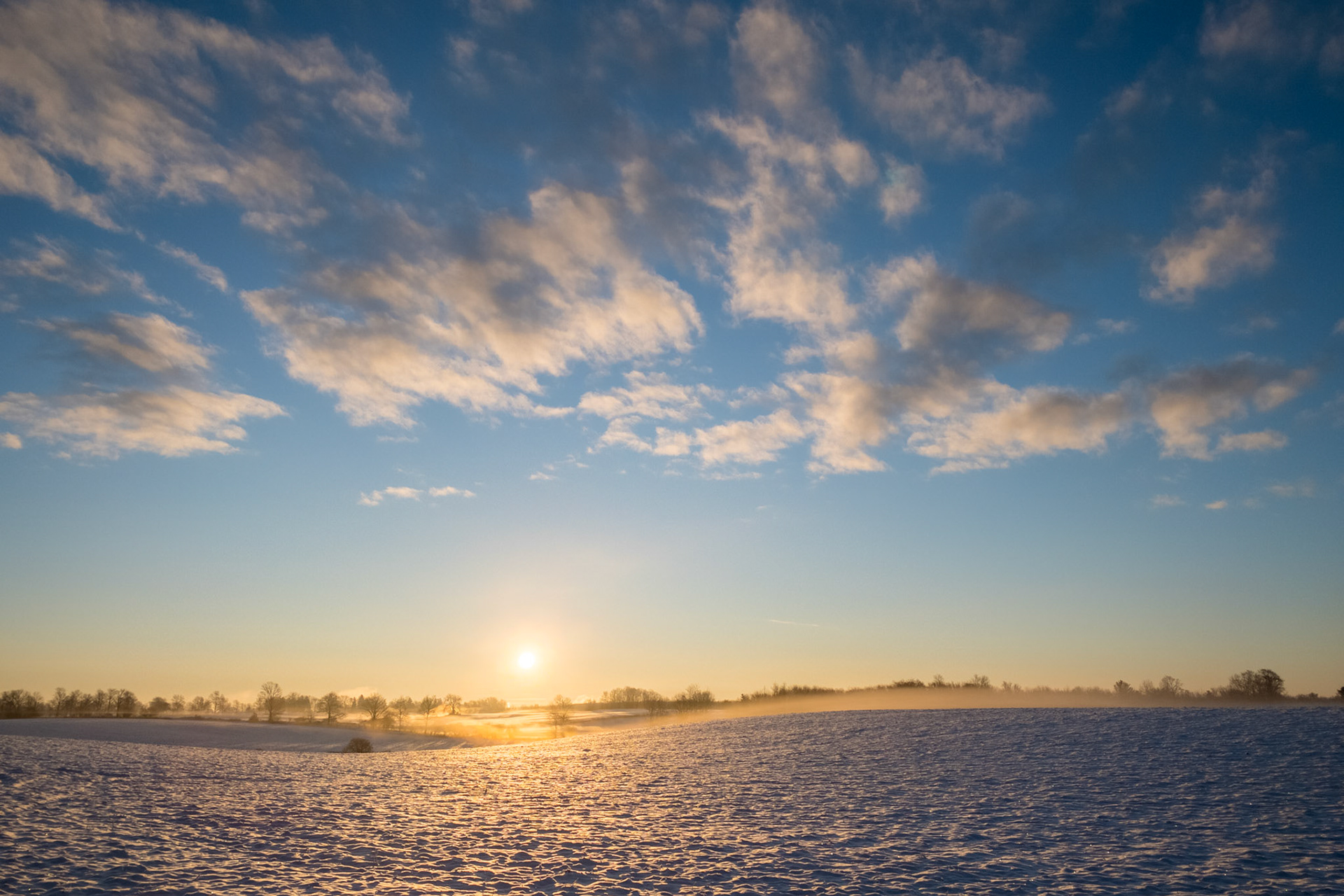 Sunrise and Frosty Field