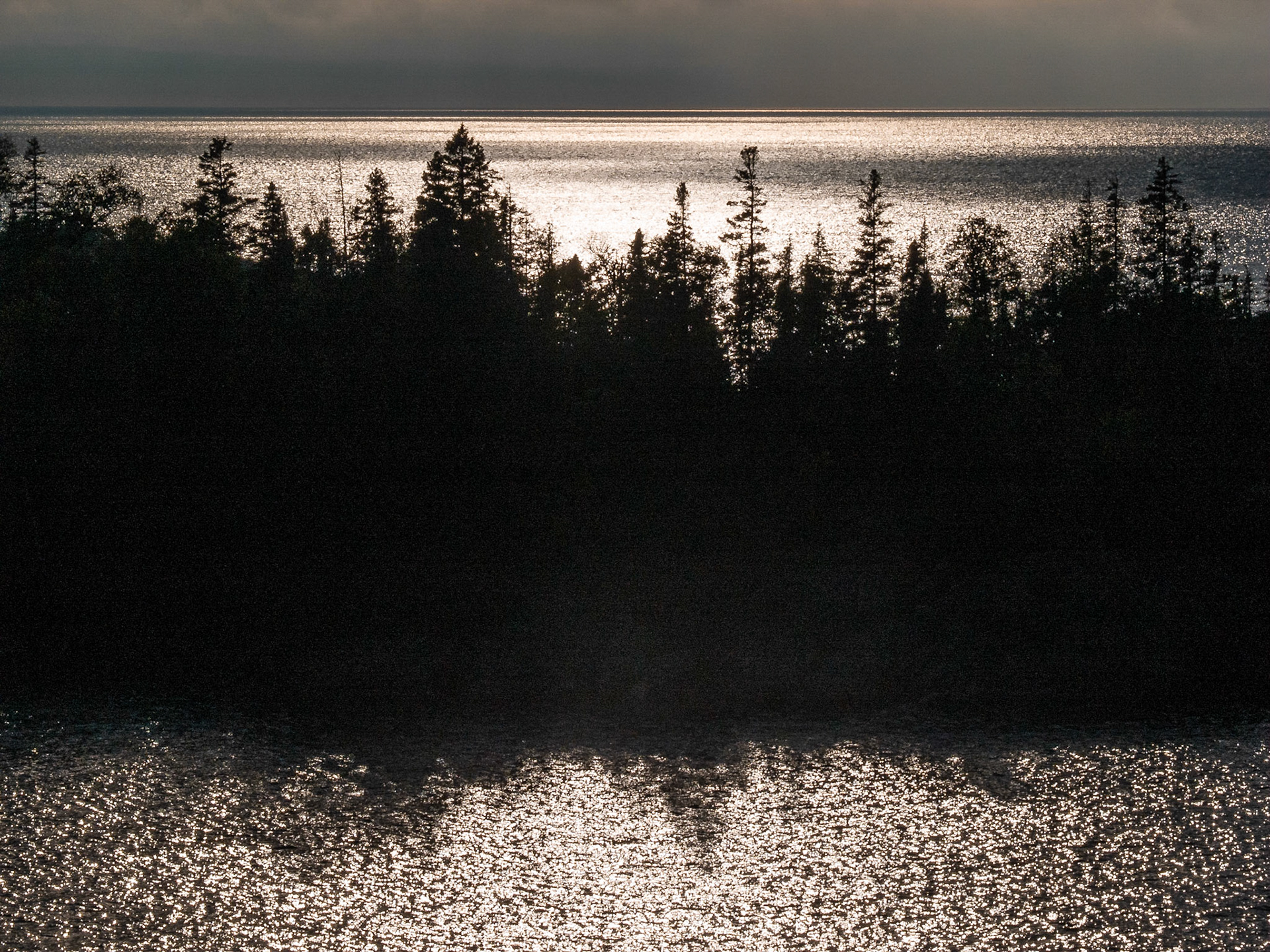 Boreal Forest and Sun, Lake Superior Provincial Park