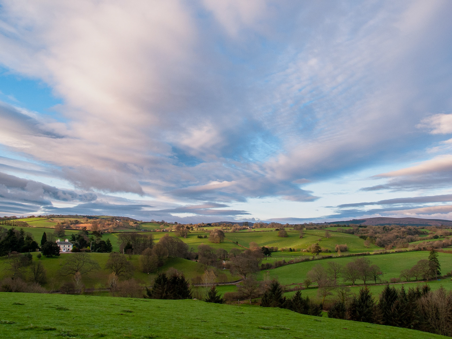 Dartmoor Morning, Moretonhampstead, Dartmoor, England