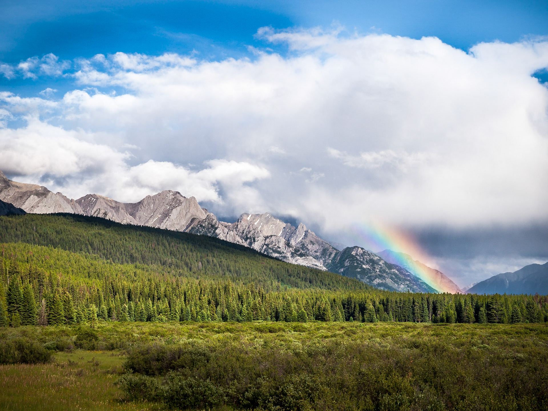 A rainbow forms over the Bow River Valley in Banff National Park, Alberta, Canada with billowing storm clouds rising above the mountain peaks and forests.