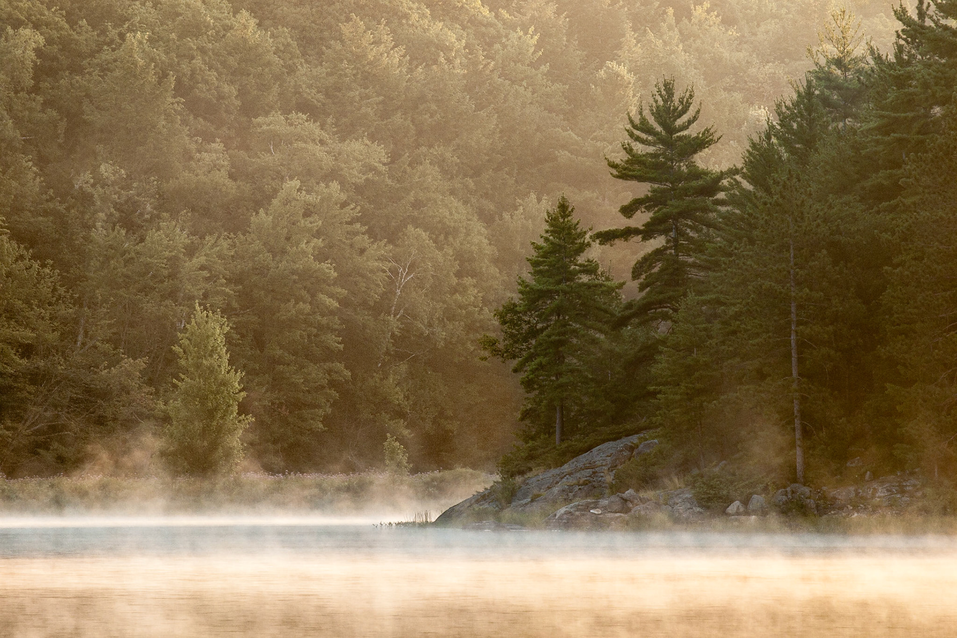 Morning Glow, The Massasauga Provincial Park, Ontario