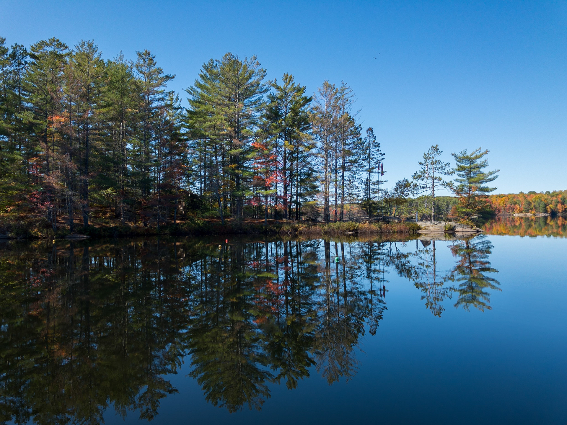 Under a clear blue sky, a shoreline with the autumn colours of a mixed forest is reflected in a glass-smooth lake.