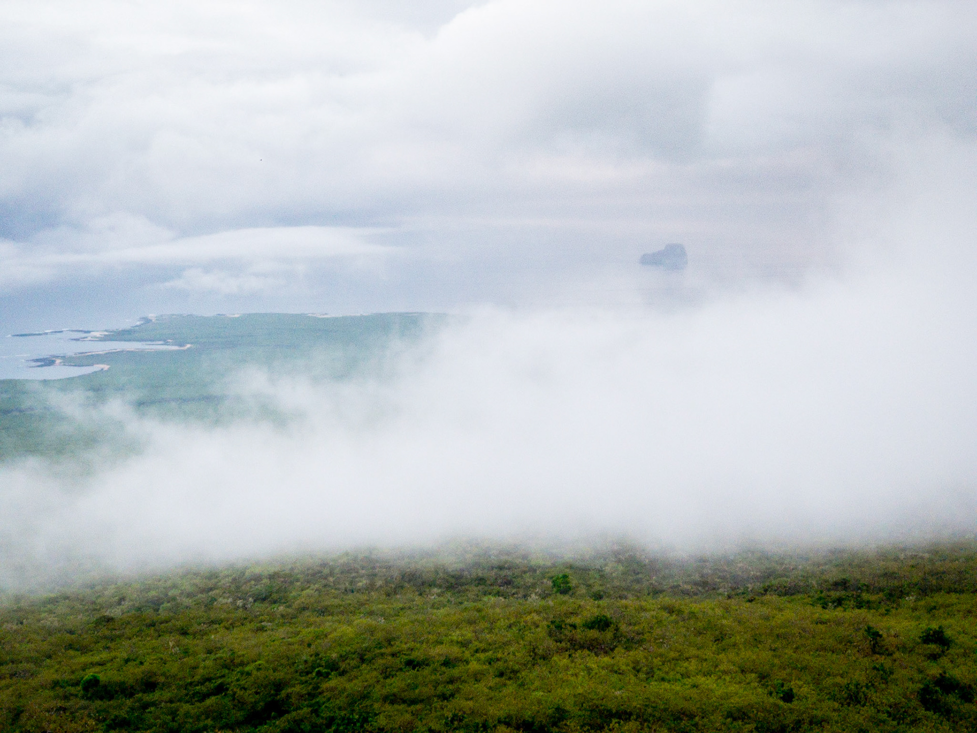 Galápagos Coast and Leon Dormido, San Cristóbal