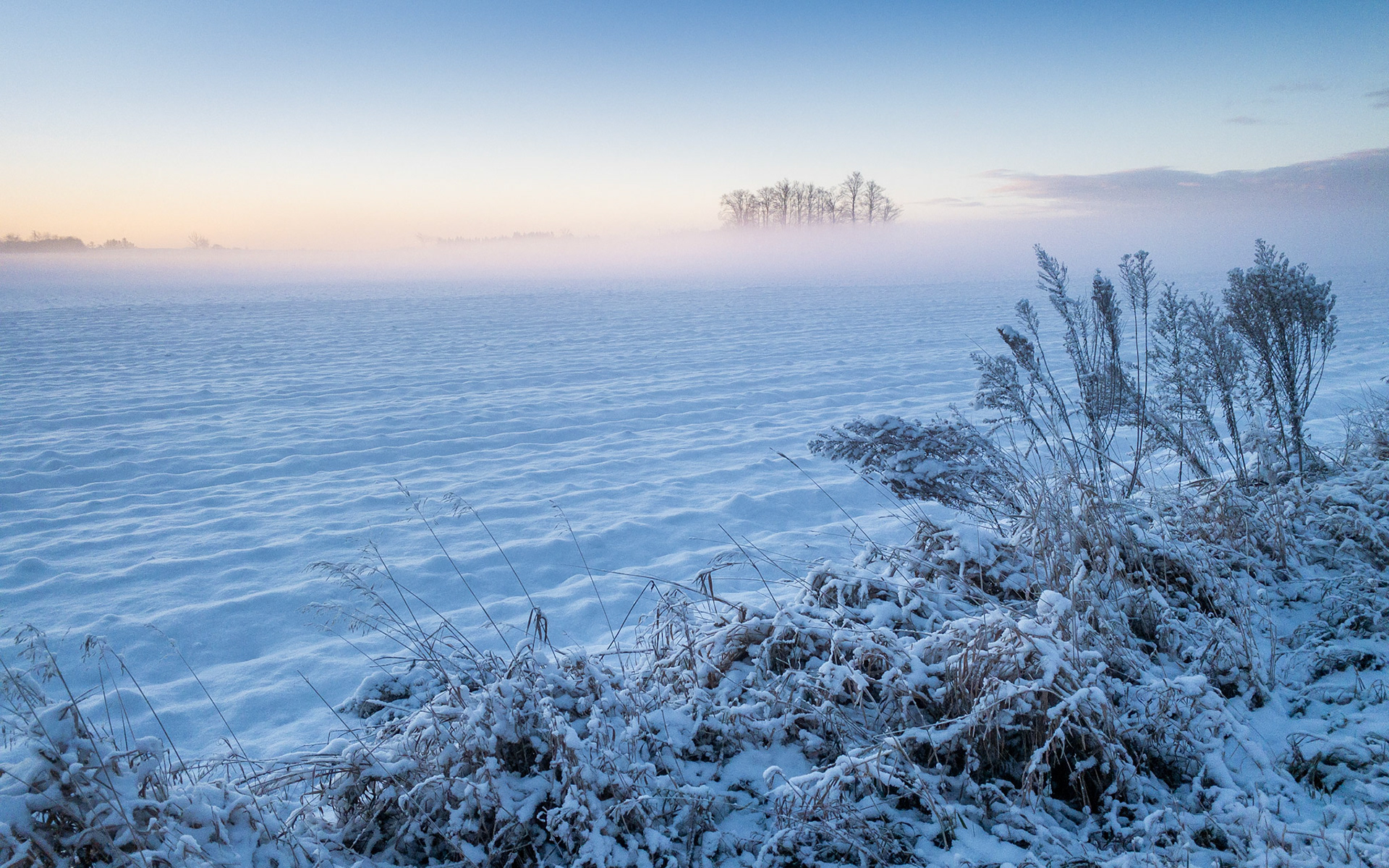 Frosty Dawn and Ground Fog