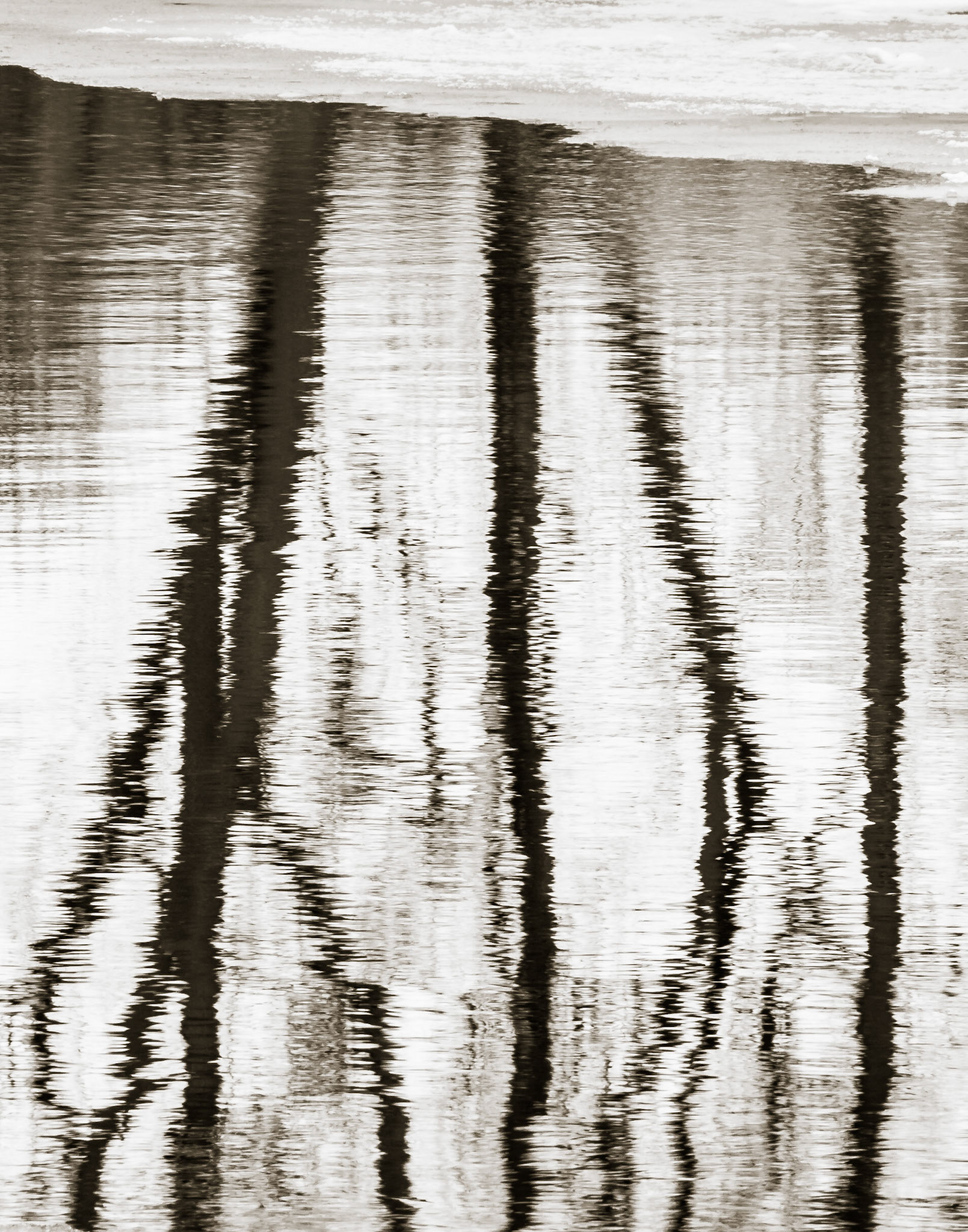 Winter Reflections, Speed River, Guelph