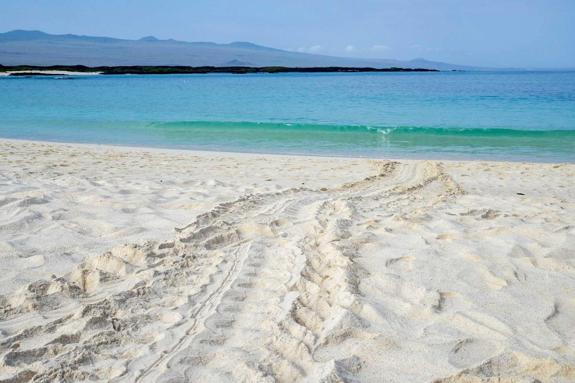 Day out snorkelling at Kicker Rock and Playa Cerro Brujo