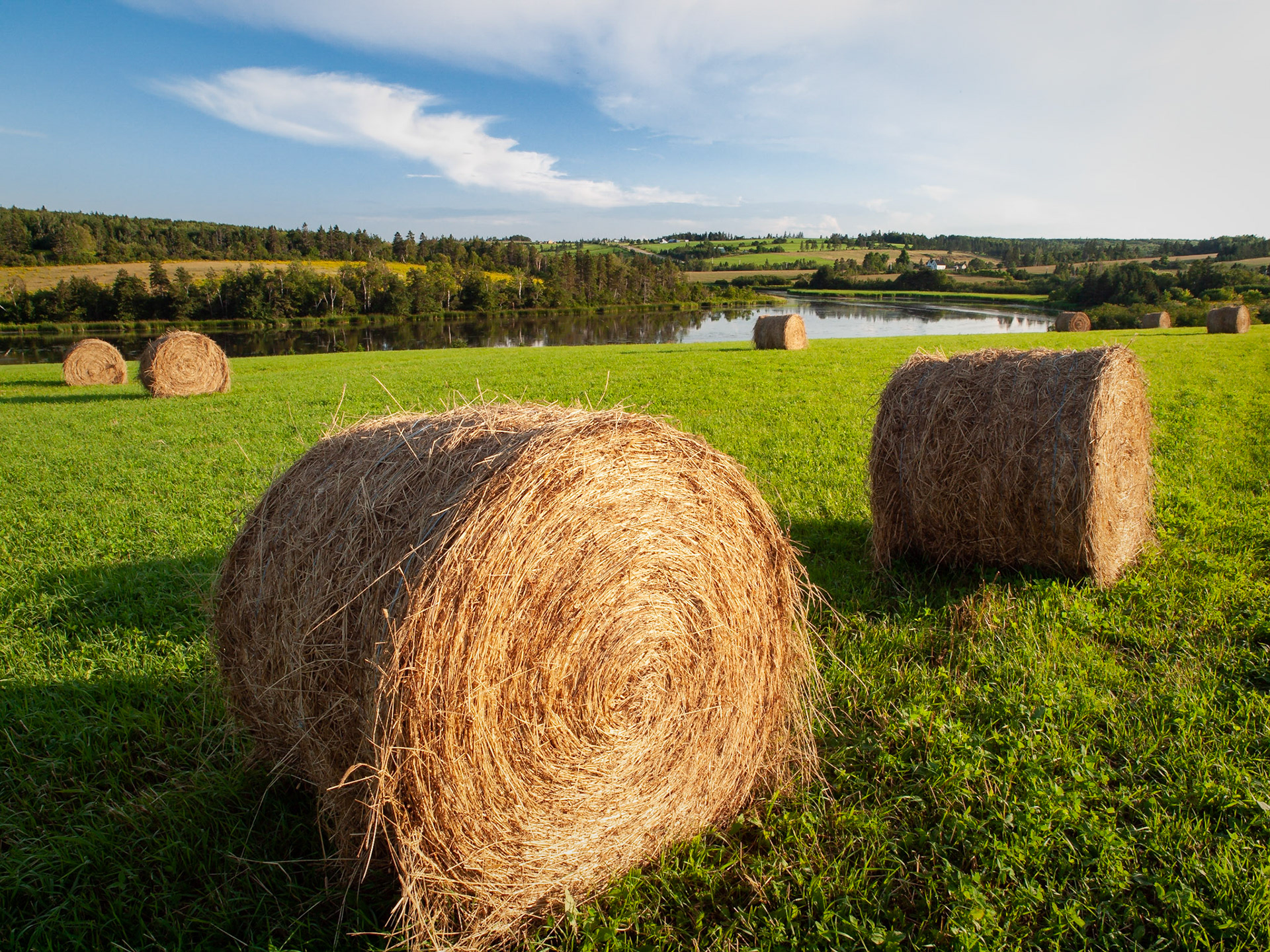 Large hay rolls in the foreground with the river and valley in the background lit by low evening sunlight