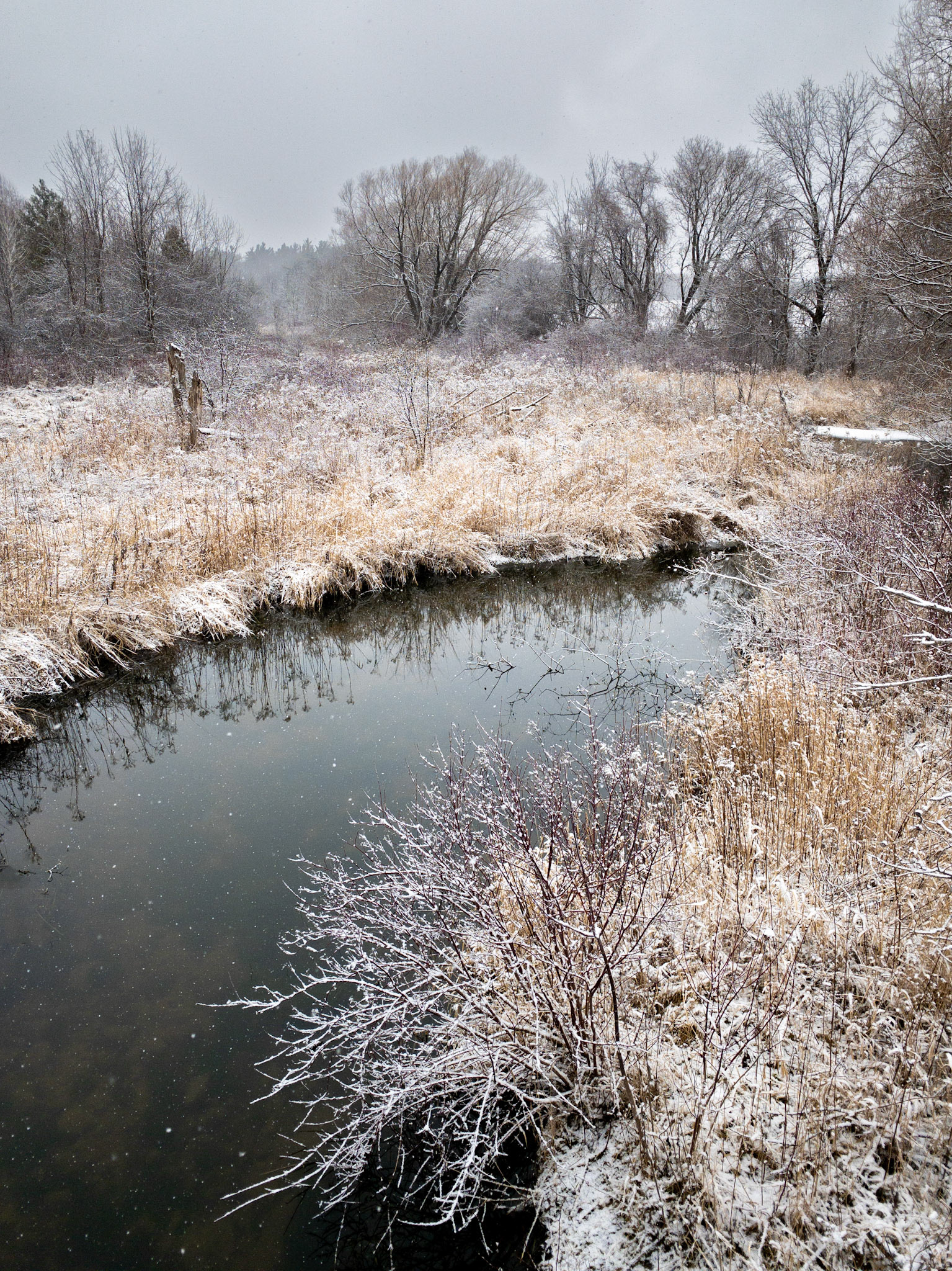 Ellis Creek, Winter