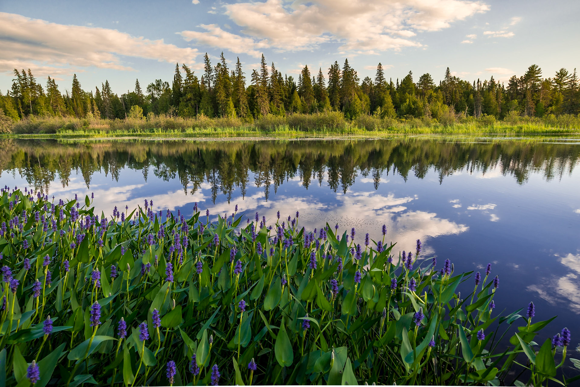 Evening, Amable du Fond River, Samuel de Champlain Provincial Park