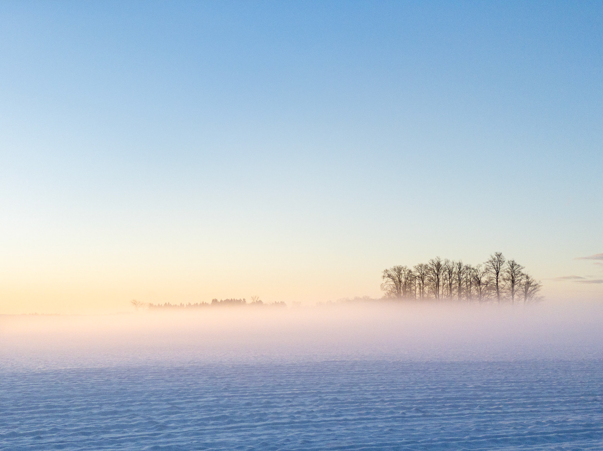 Dawn Light, Ground Fog and Winter Snow (H)