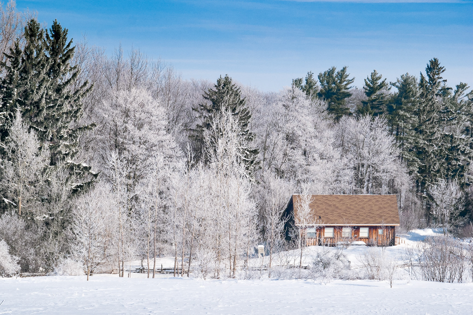 Surrounded by a forest of bare deciduous trees and coniferous trees covered in hoar frost, this lone cabin is warmed by the bright winter sun.