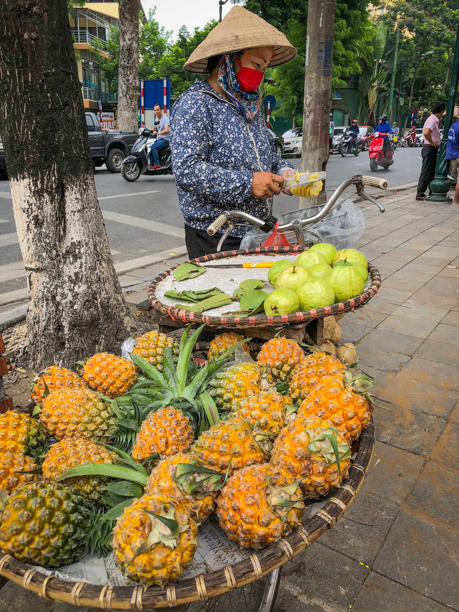 Ha Noi Streets IV, Việt Nam