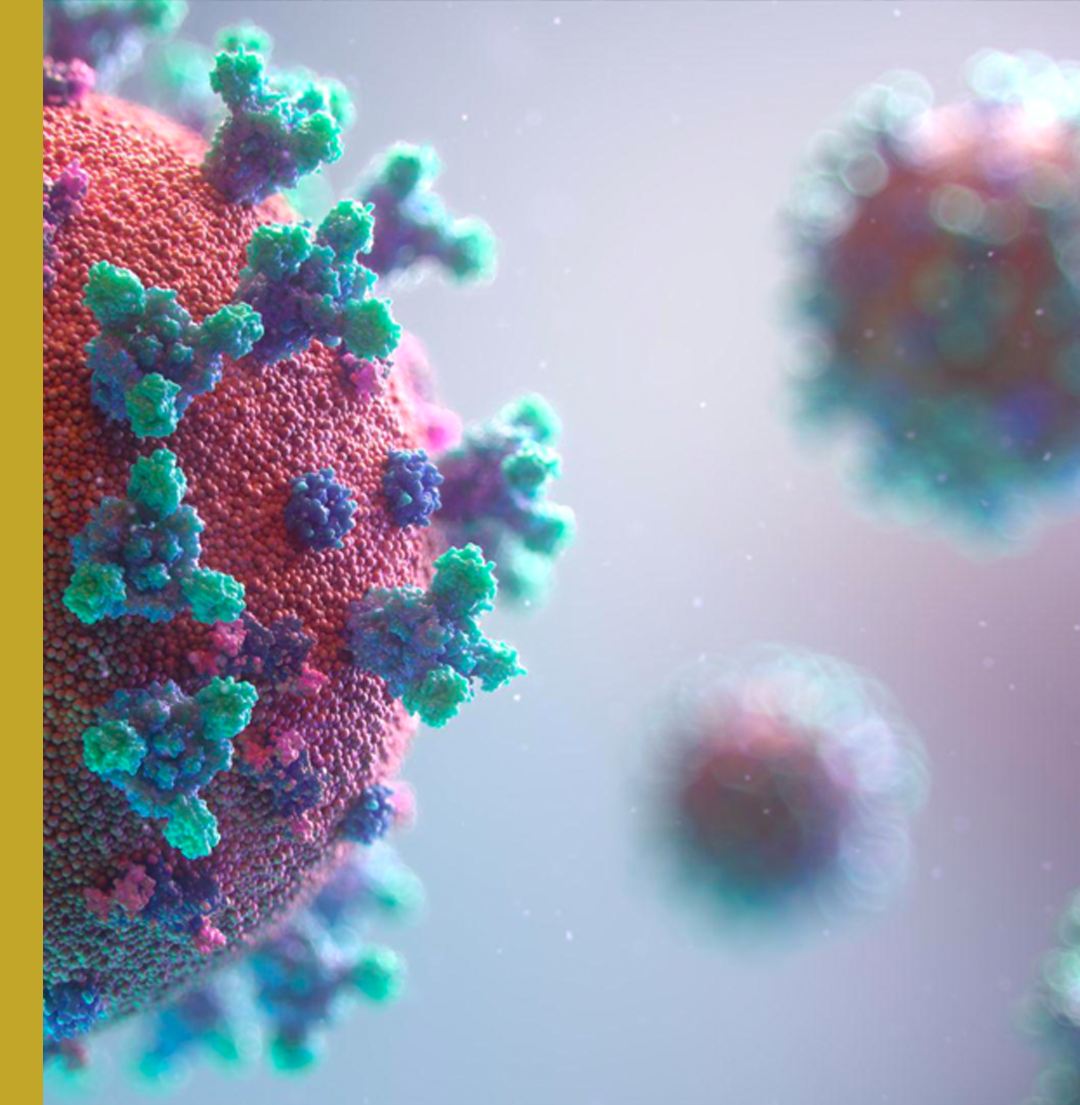 image of corona virus