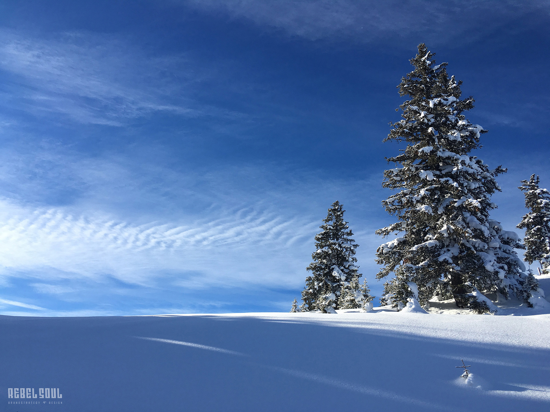 Schneelandschaft mit schneebedeckten Nadelbäumen, strahlend blauem Himmel und weißen Wolken.