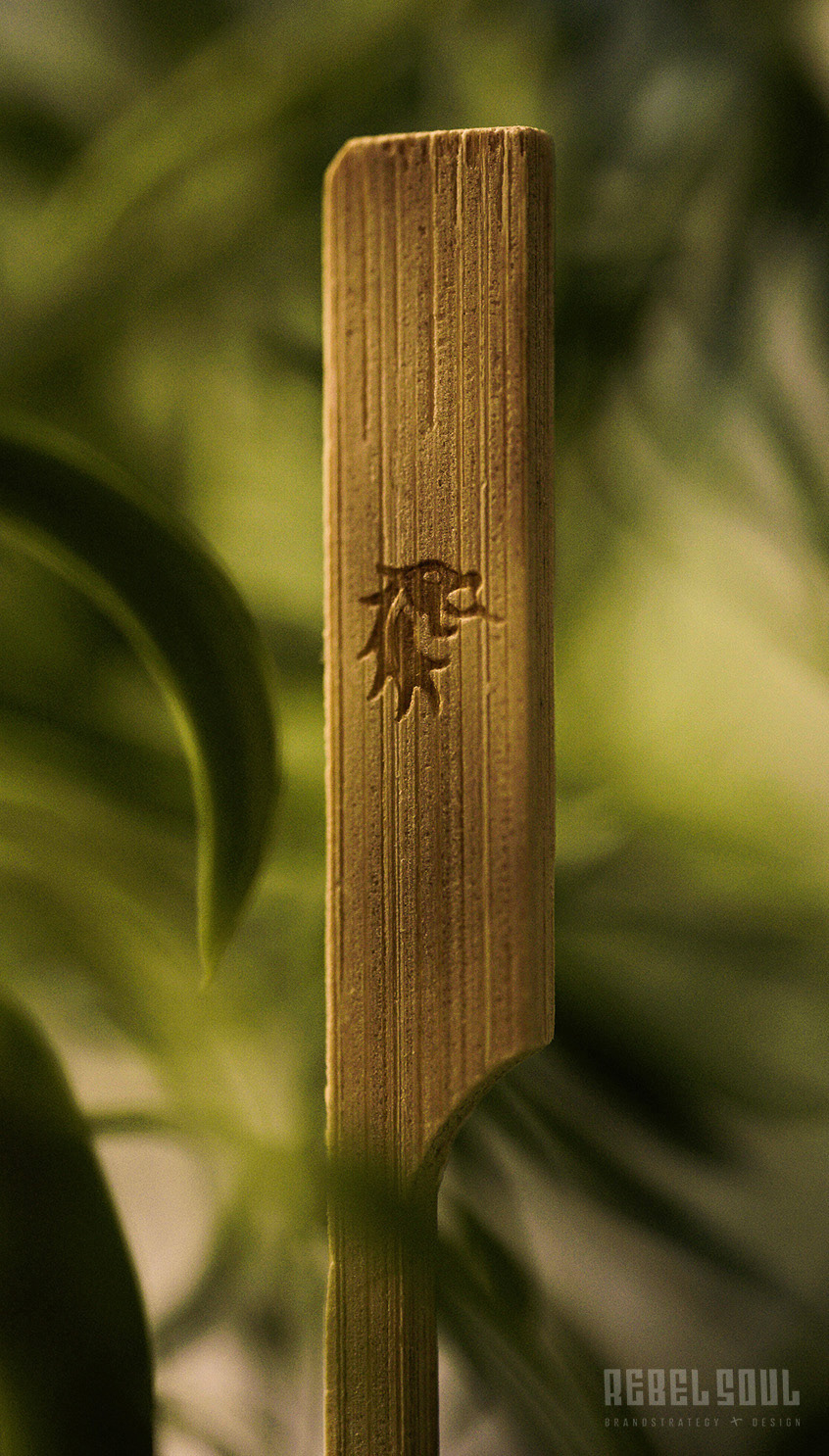Produktbild: Holzspieß mit Drachen-Logo, Makroaufnahme umgeben von Pflanzenblättern.