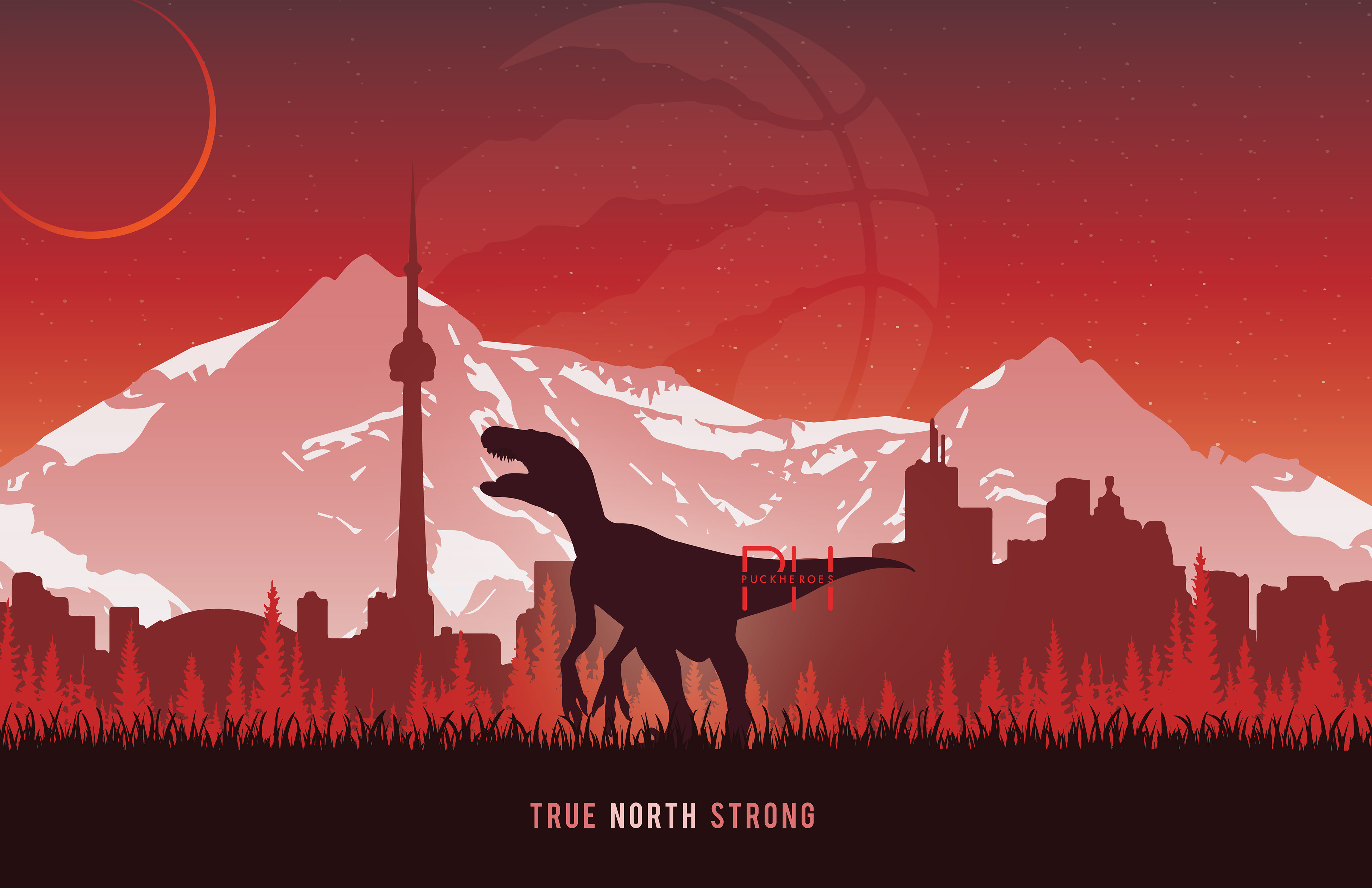True North Strong: Toronto Raptors