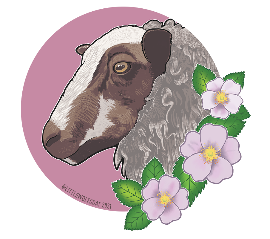 "Star: Starspun Shetlands" (2021): Photoshop