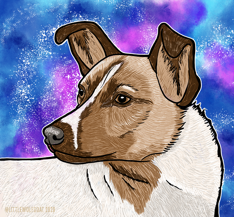 "Laika" (2020): Photoshop