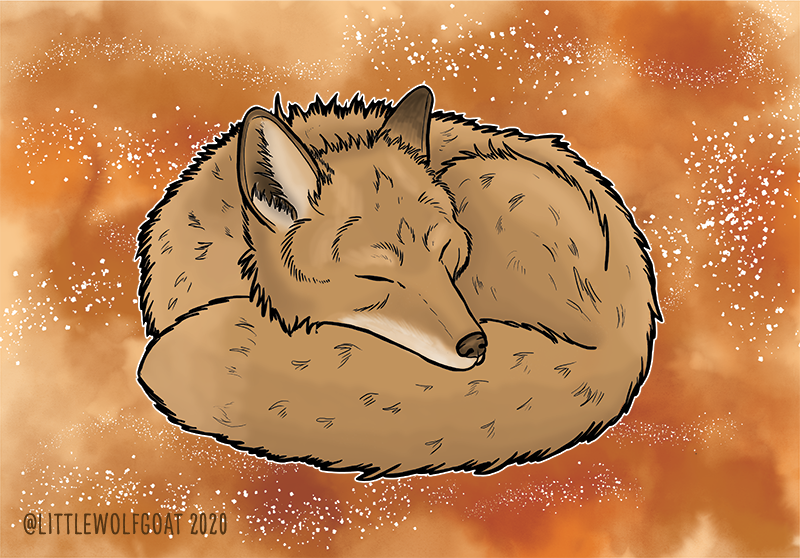 "Sleepy Fox" (2020): Photoshop