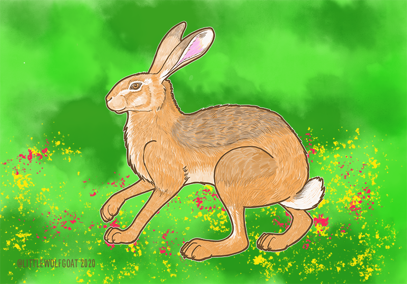 "Spring Hare" (2020): Photoshop