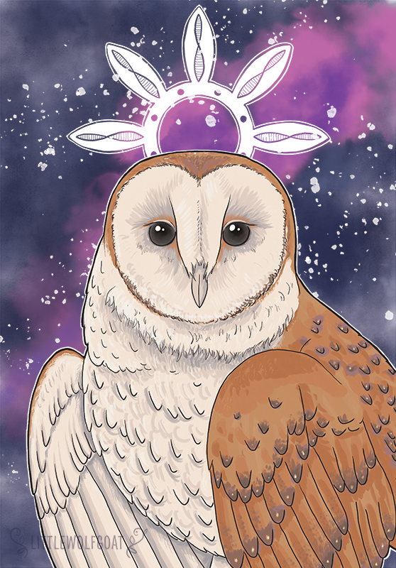"Barn Owl" (2021): Photoshop