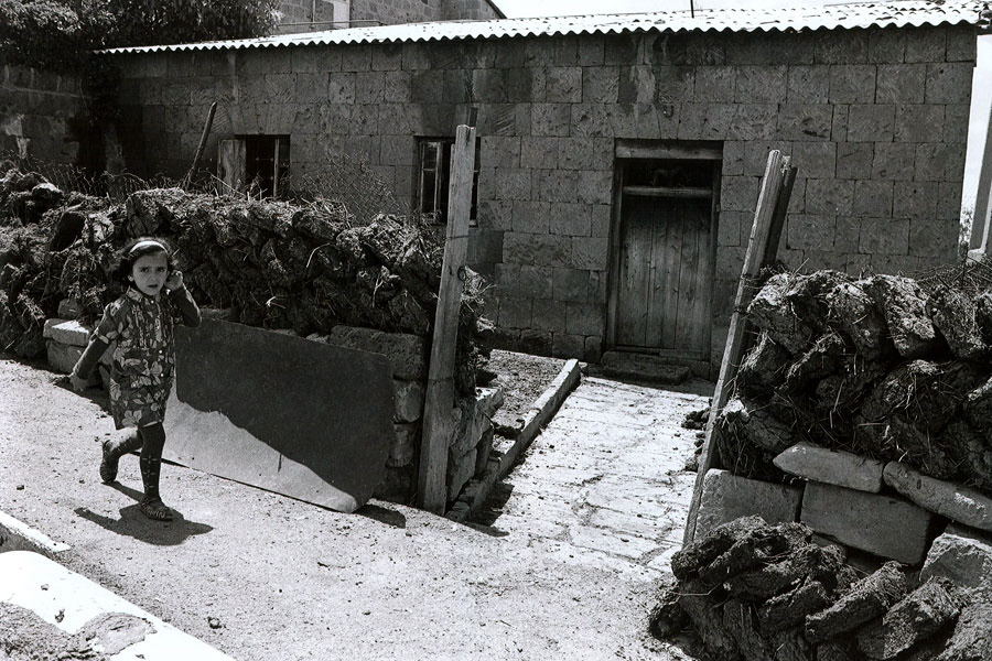 Simple and sustainable: Dung bricks dry under the sun, serving as an age-old source of fuel in rural Armenia.
