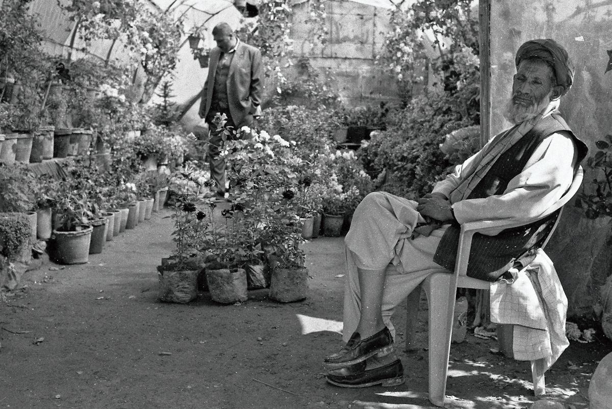 Amidst the bustling chaos of Kabul, the fragrance of fresh blooms fills the air in the flower market.