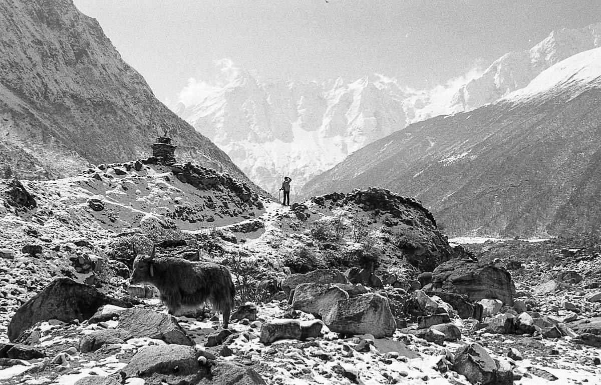 Trekker moves forward towards the Larkya La Pass, the highest point of the Manaslu circuit.