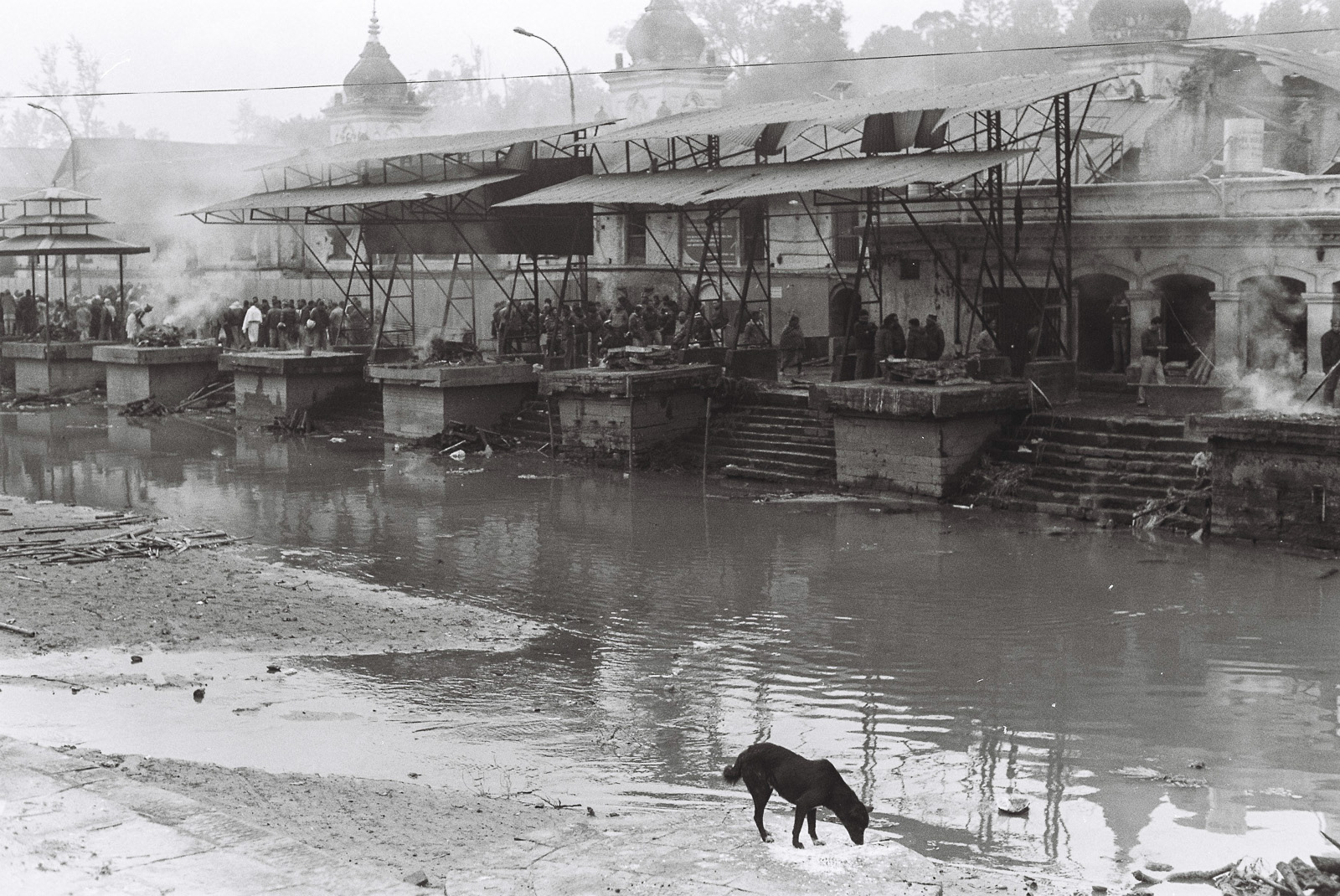 Gateway to Eternity: Pashupati Temple, one of Kathmandu's most sacred sites, where the departed are bid farewell in a solemn ritual of fire.
