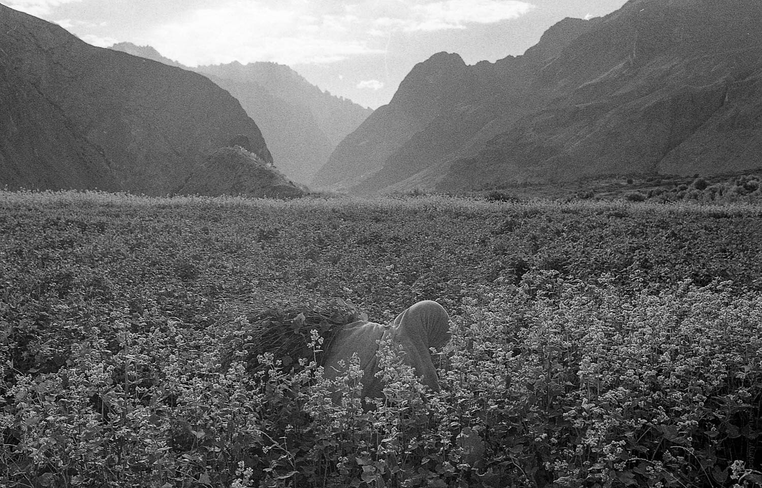 The village of Askole, from where all Karakoram expeditions starts, remains unchanged in appearance for over a century.