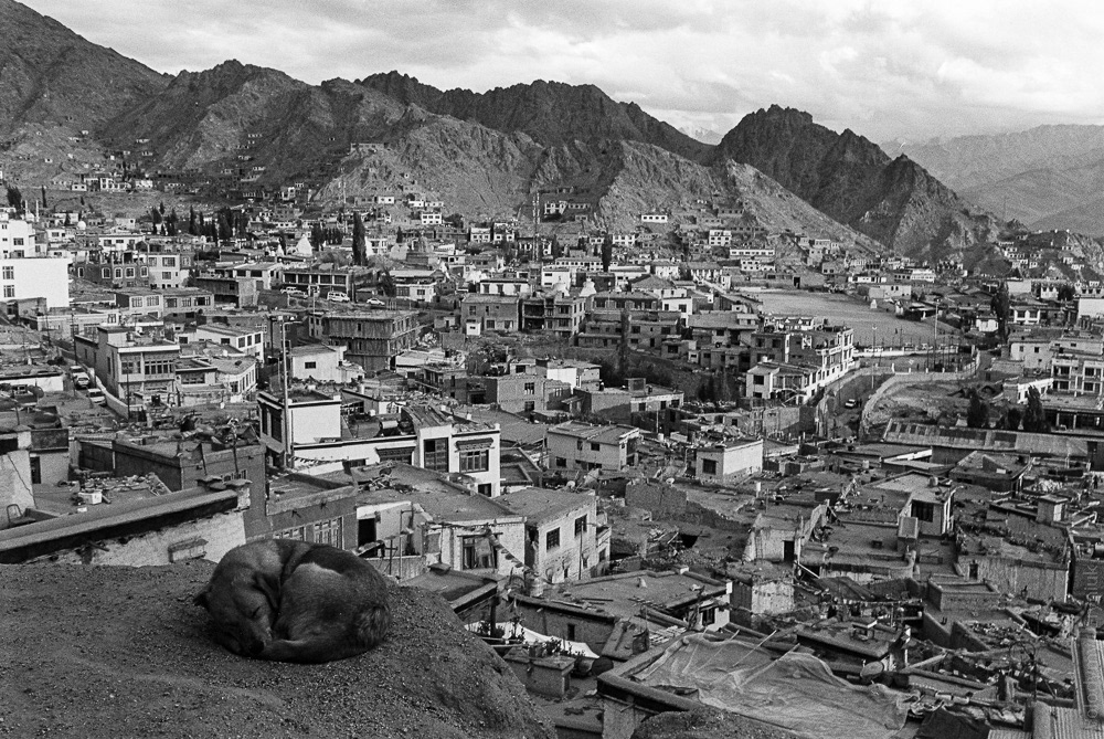 Leh, the largest city in the remote region of Ladakh, is often referred to as the "Indian Tibet," owing to its close cultural and historical ties with the neighboring country.