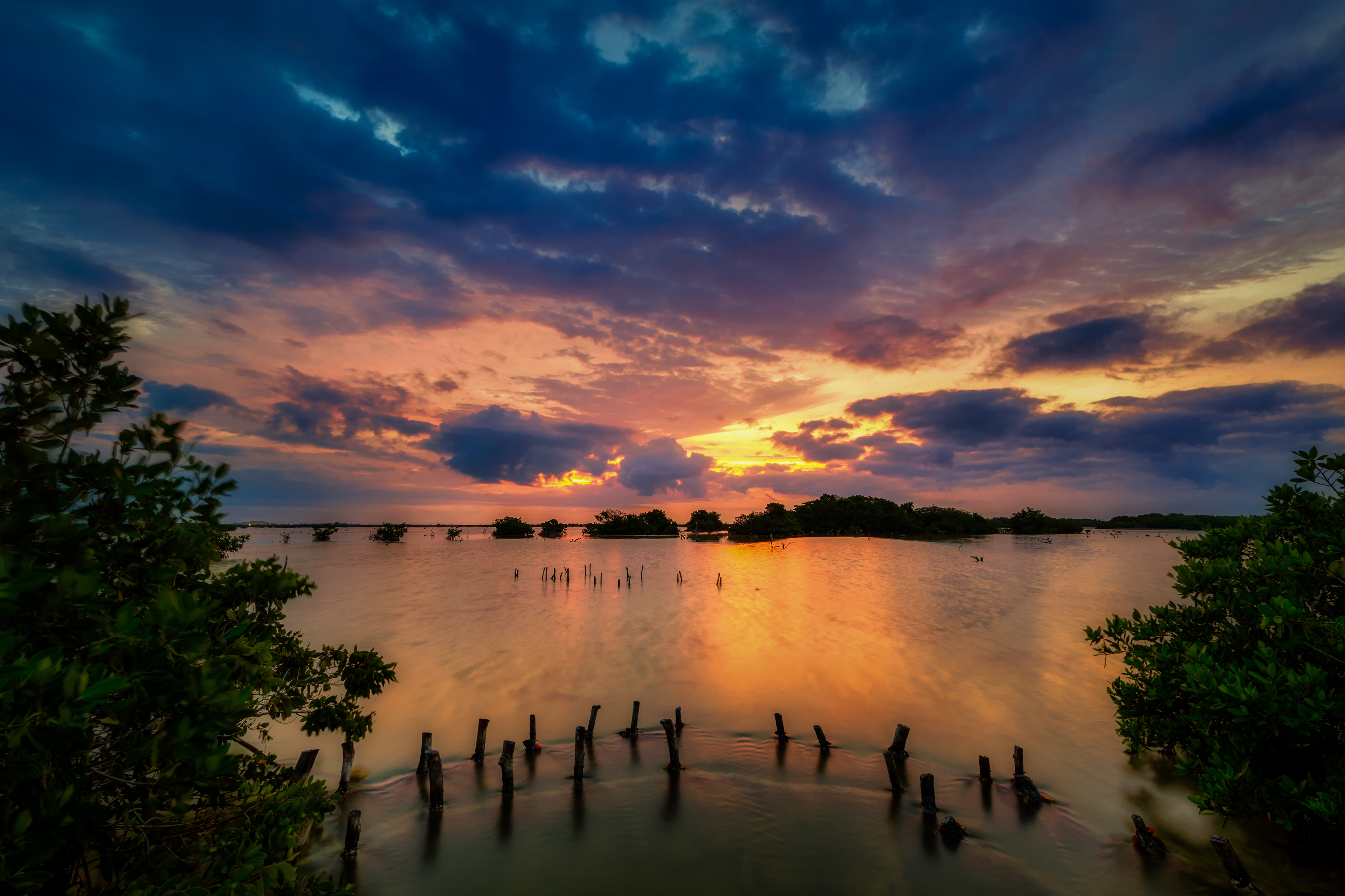 Fresh winter morning 2