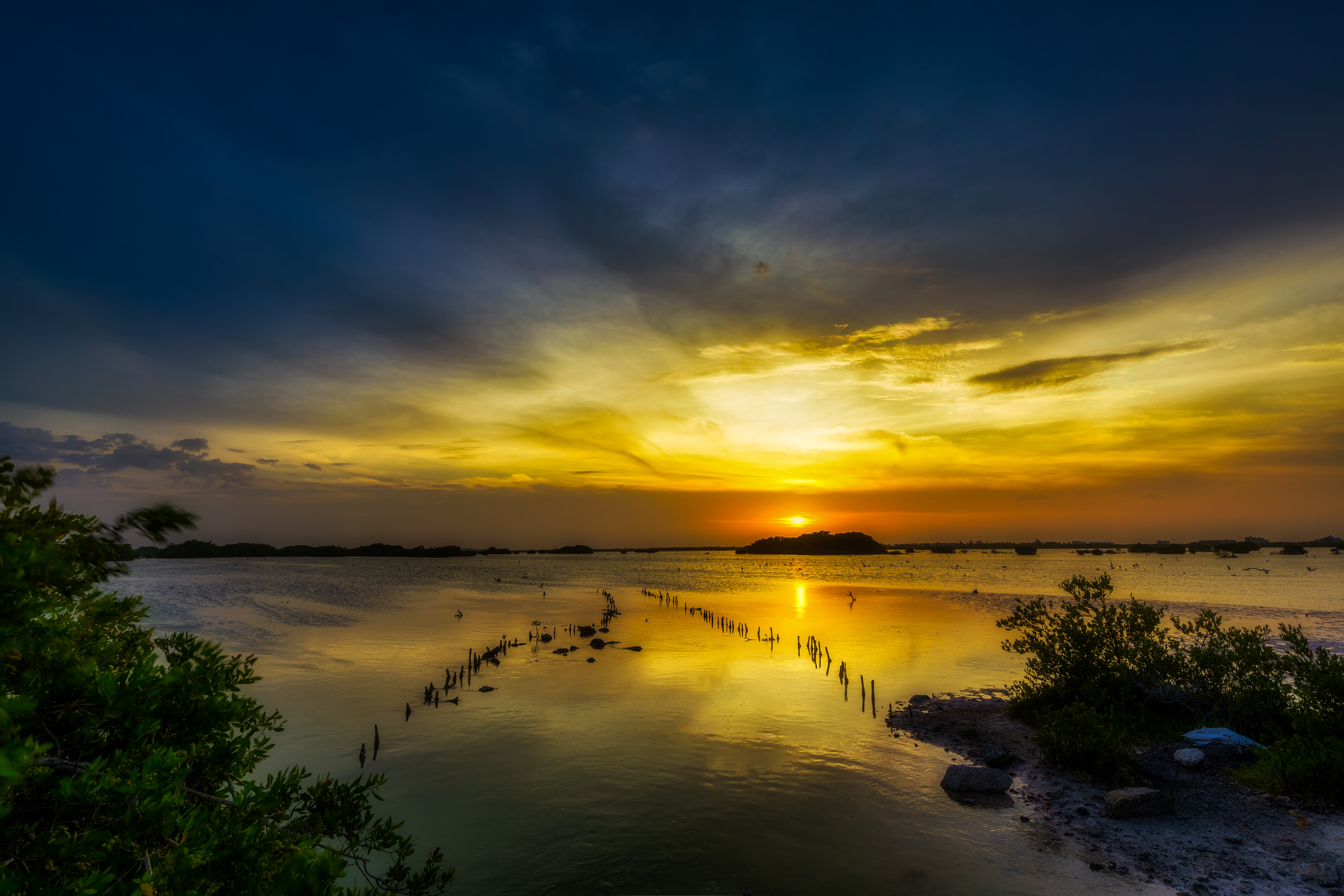 The sun over the mangrove 2