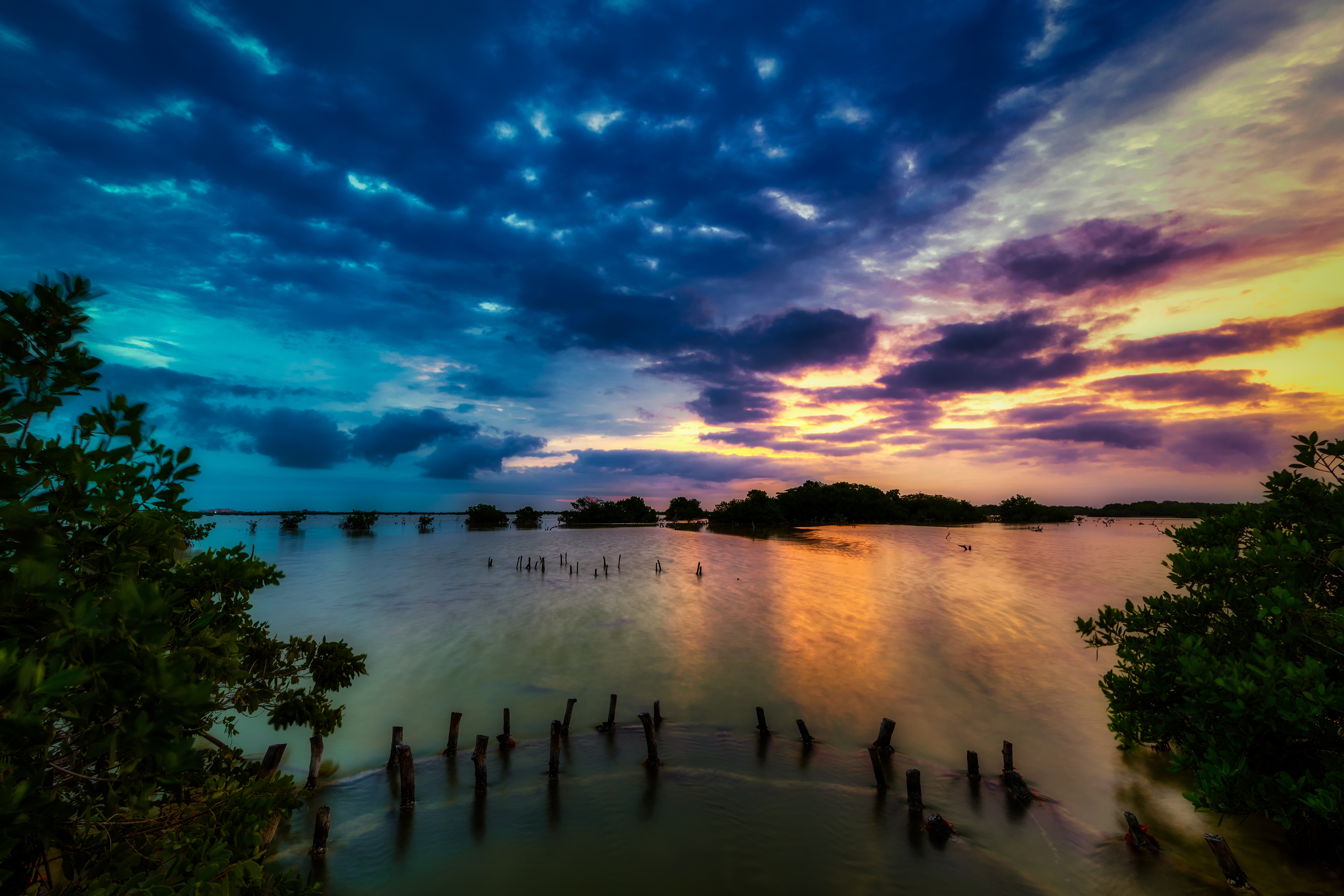 Fresh winter morning 1