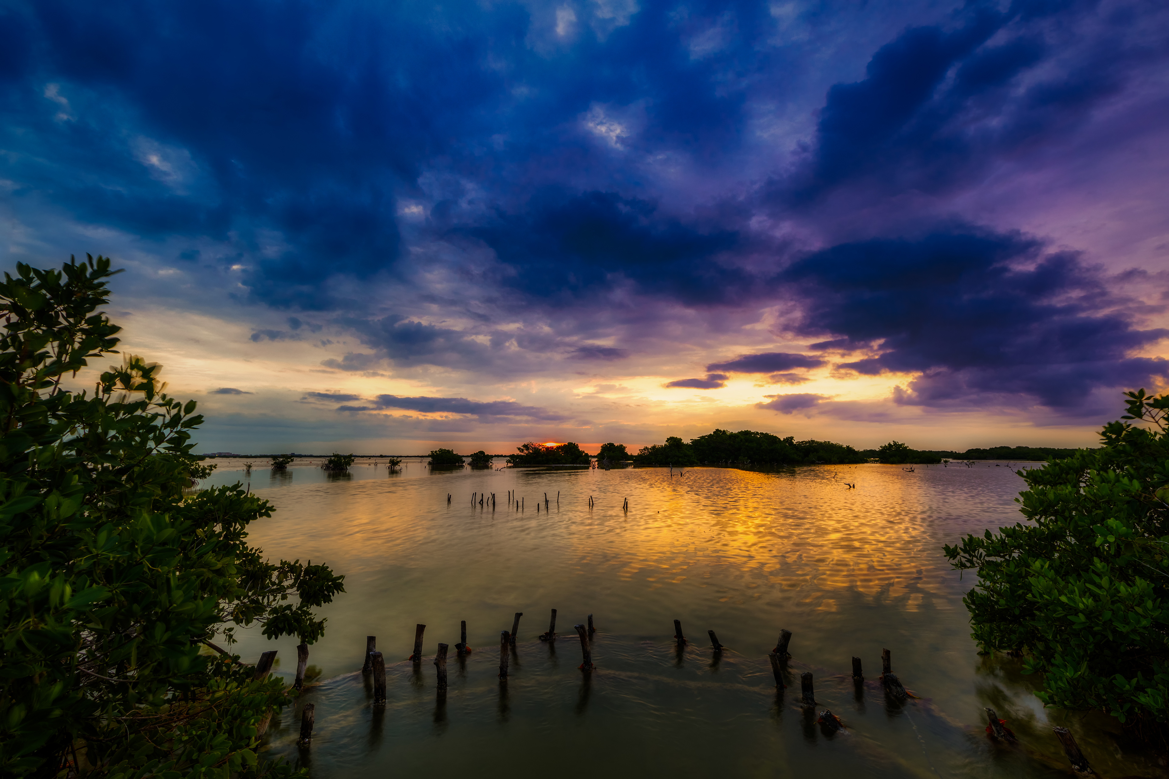 Fresh winter morning 3