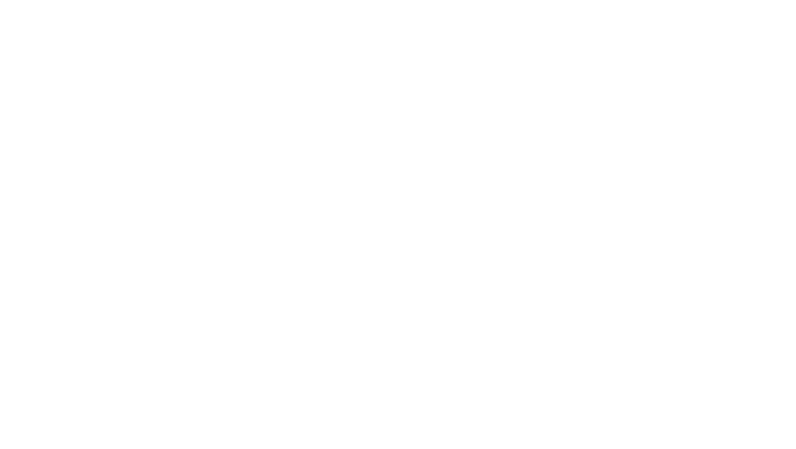 aoler designer
