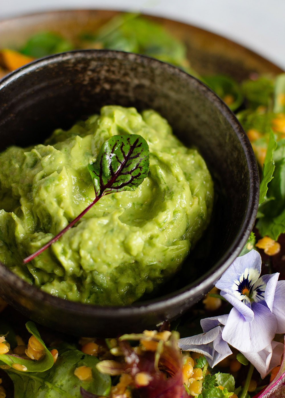 AVOCADO DIP MIT WILDSALAT | FOTO ZUM REZEPT