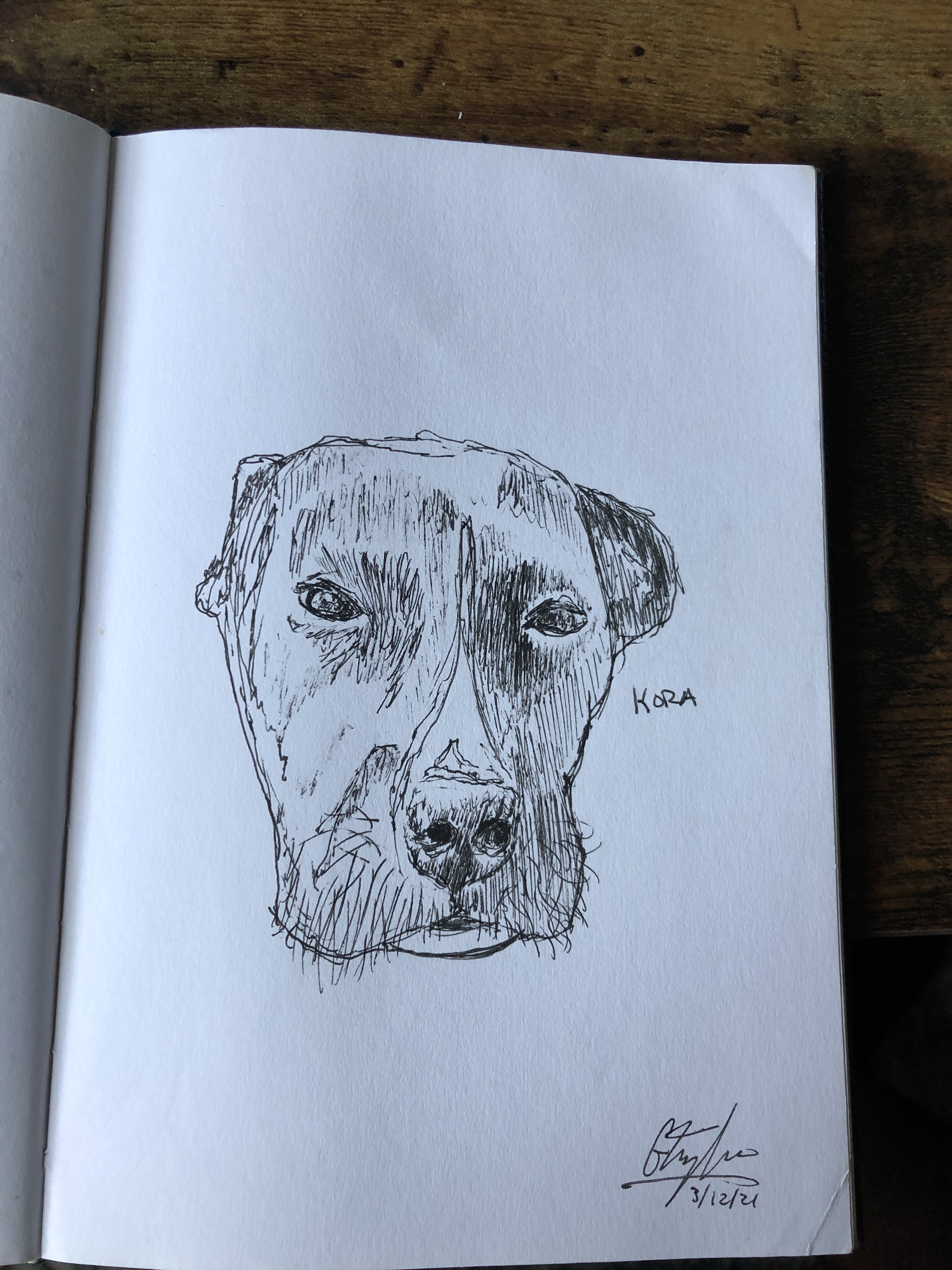 Dog
