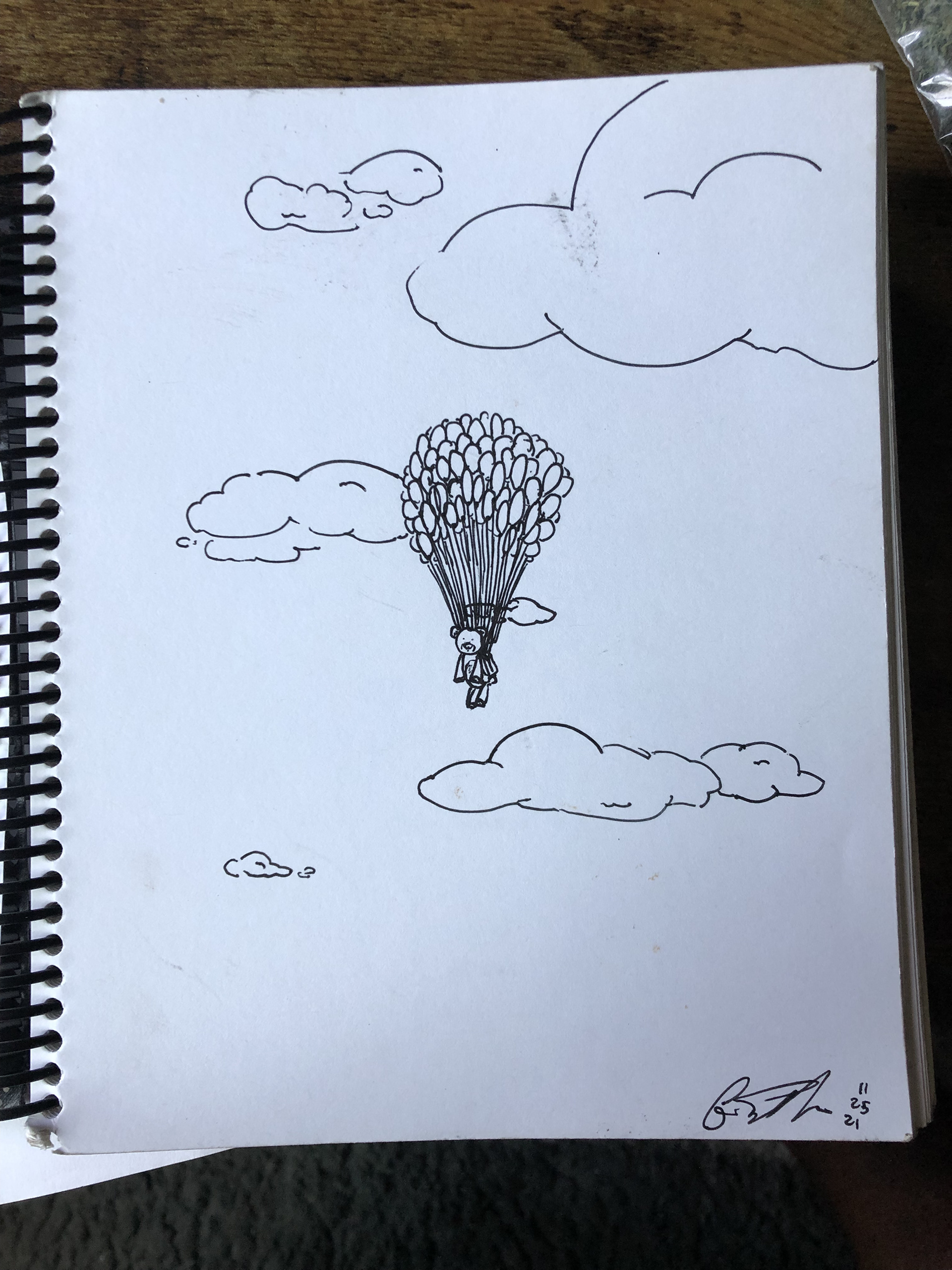 Floating Teddy