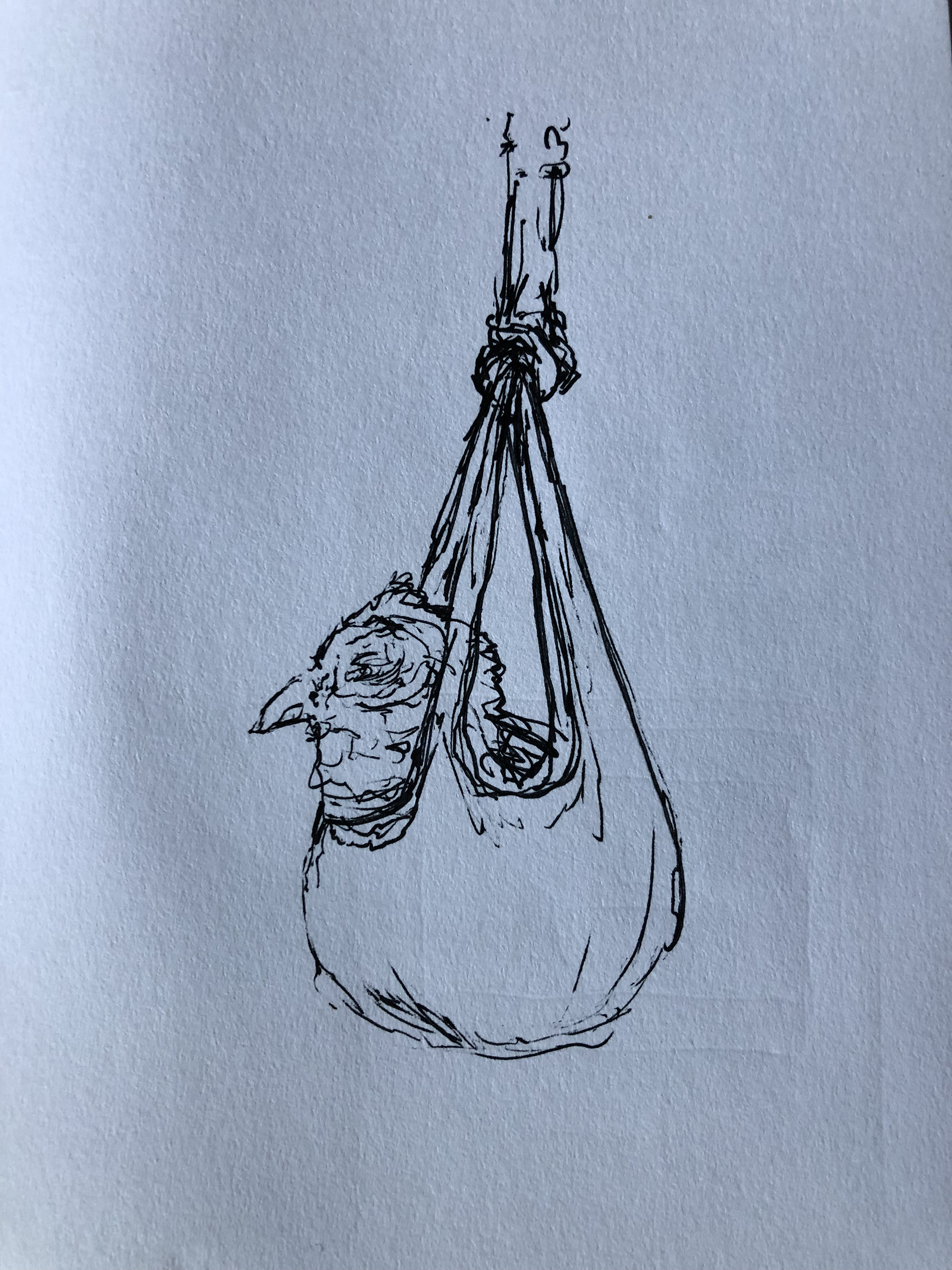 Chicken in a bag