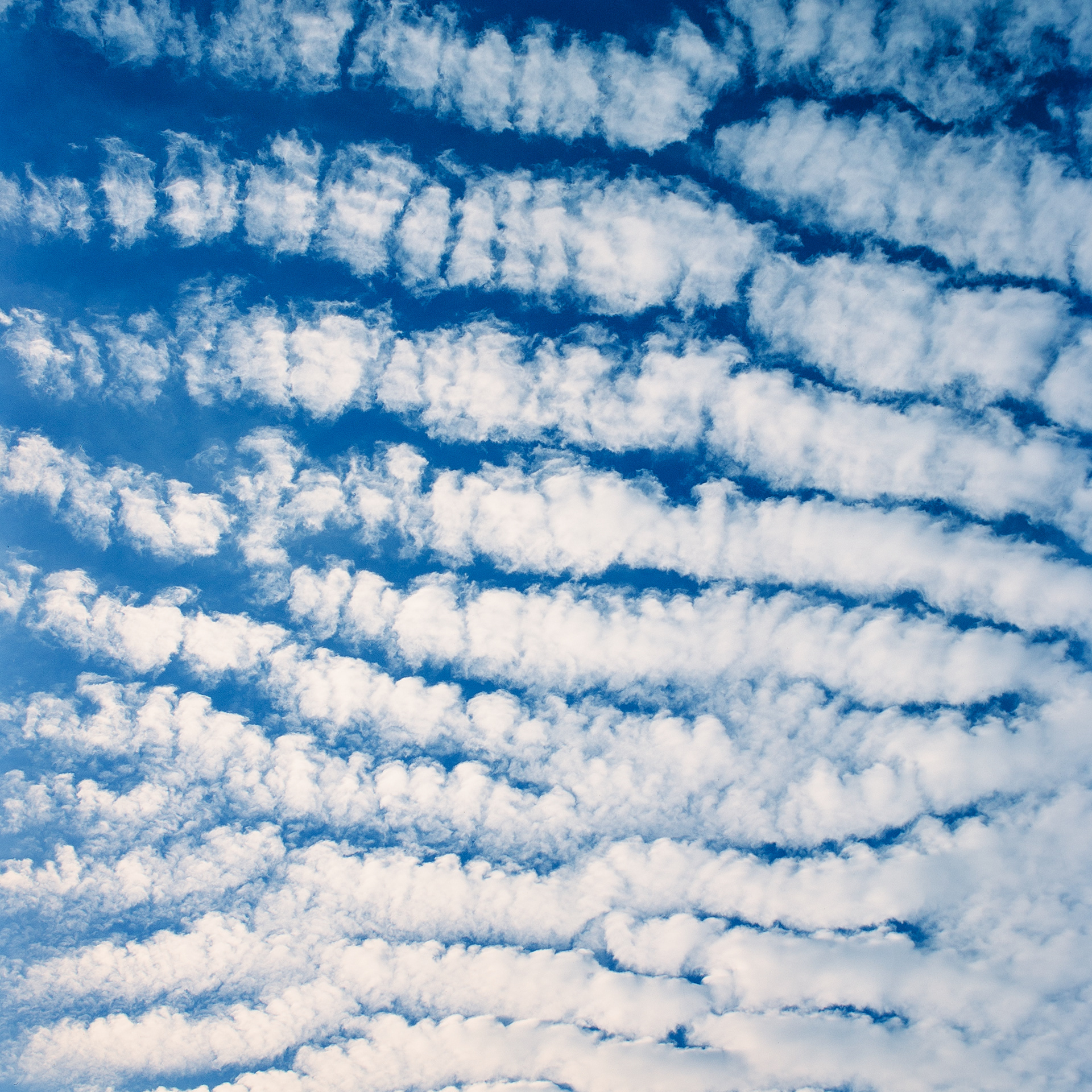Cirrocumulus Clouds