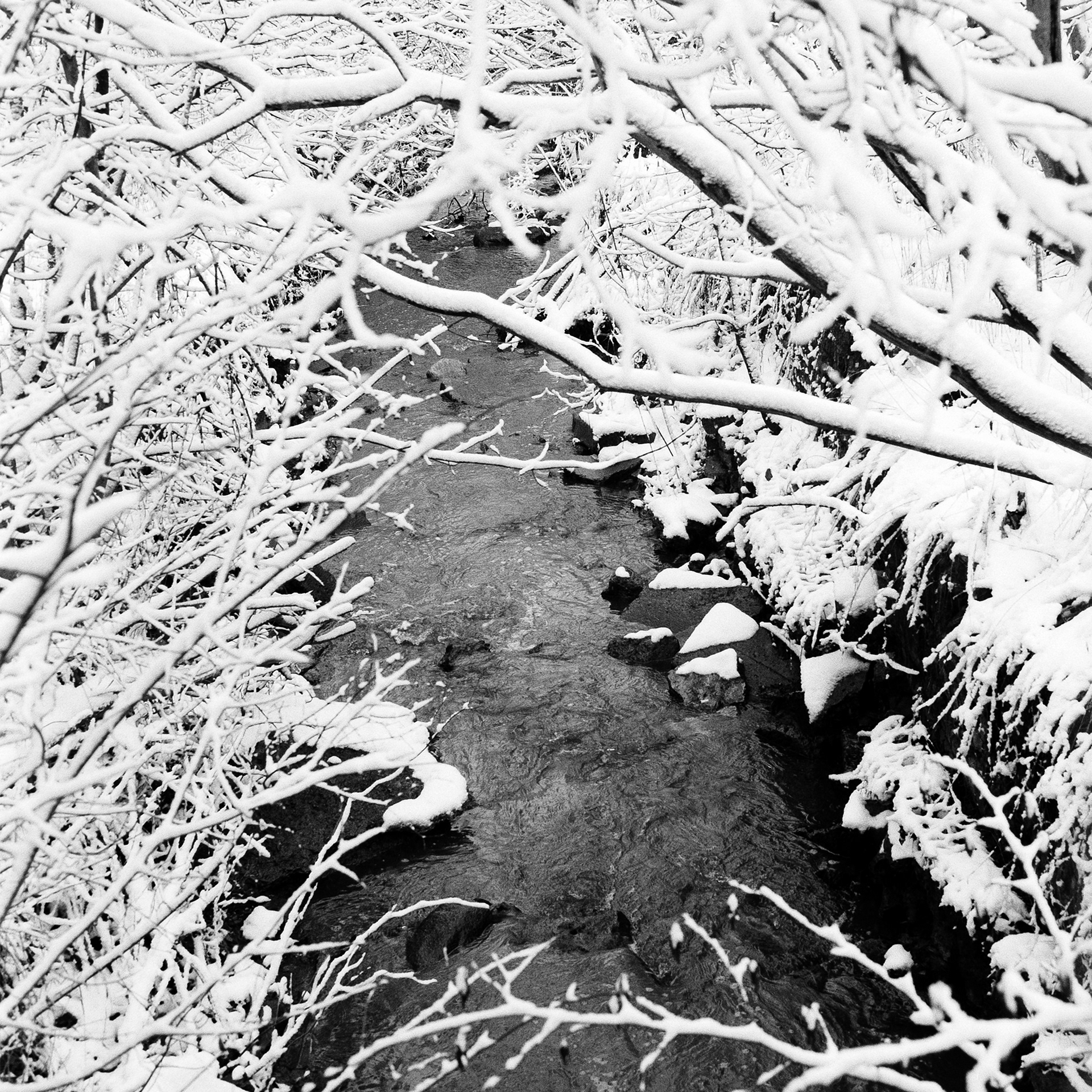 Winter Magic