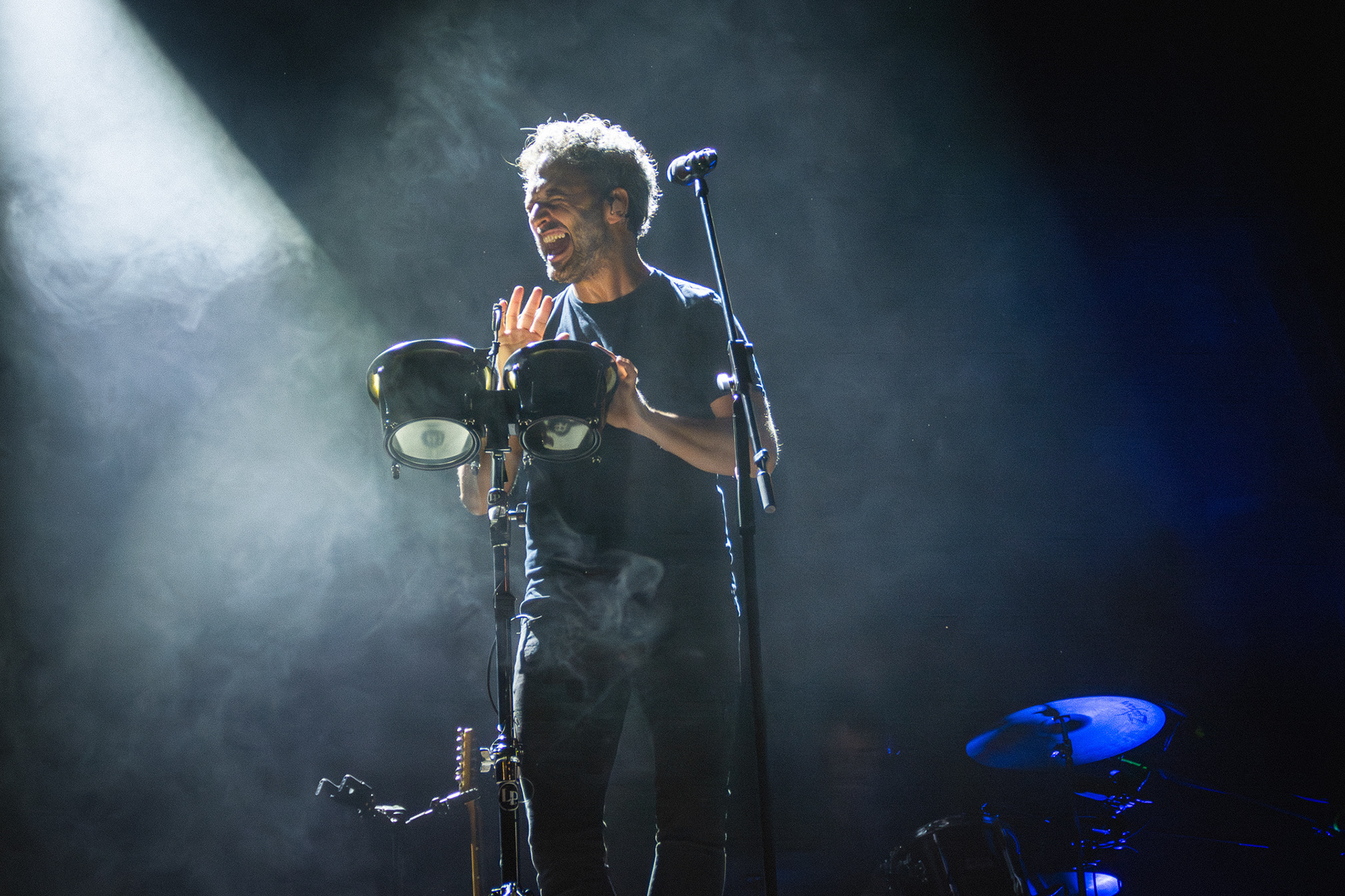 Els Amics de les Arts - Festival Observa 