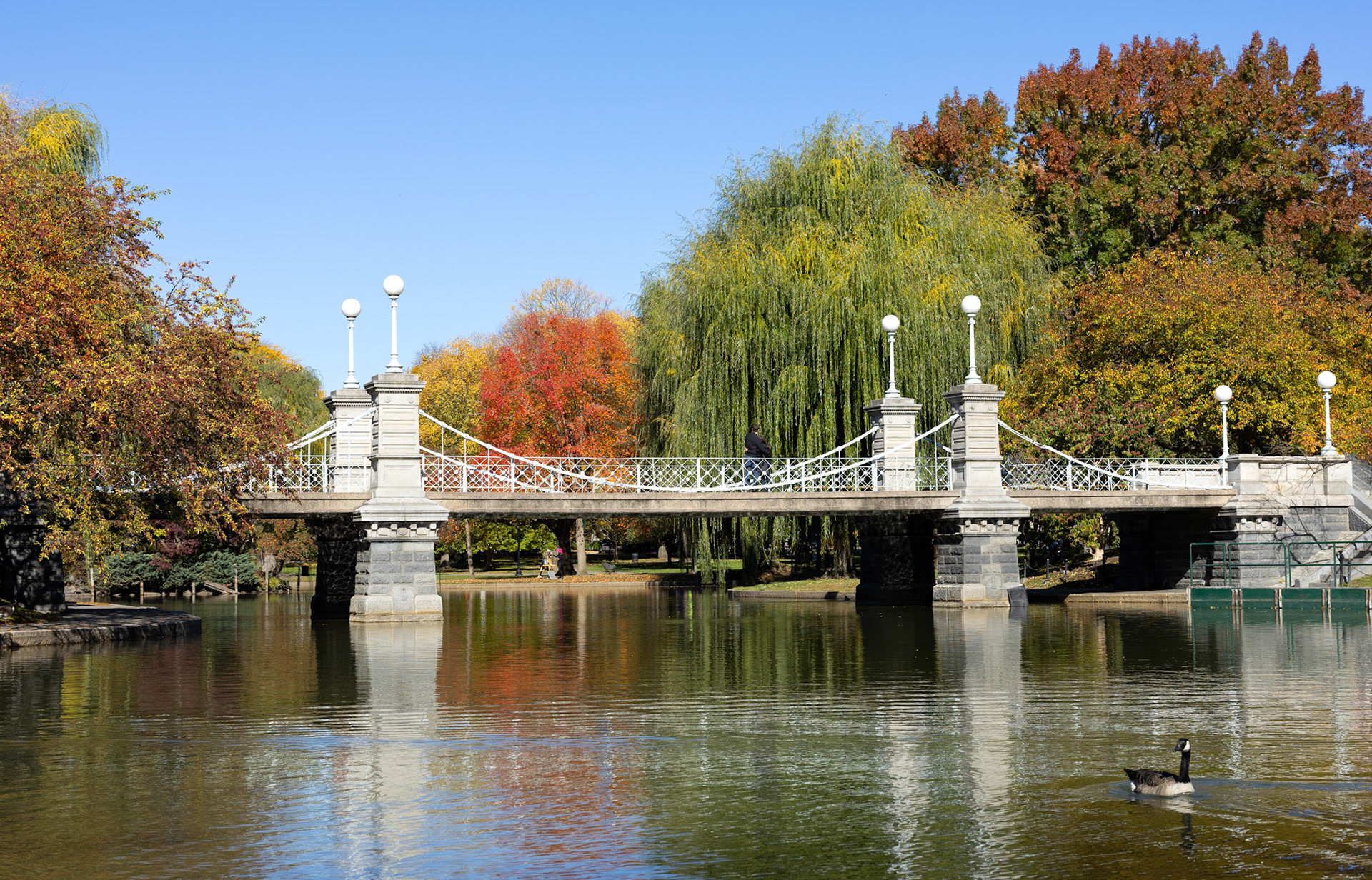Boston Public Garden Foot Bridge