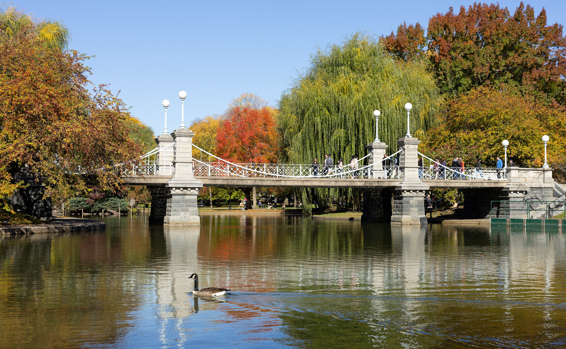 Boston Public Garden Foot Bridge
